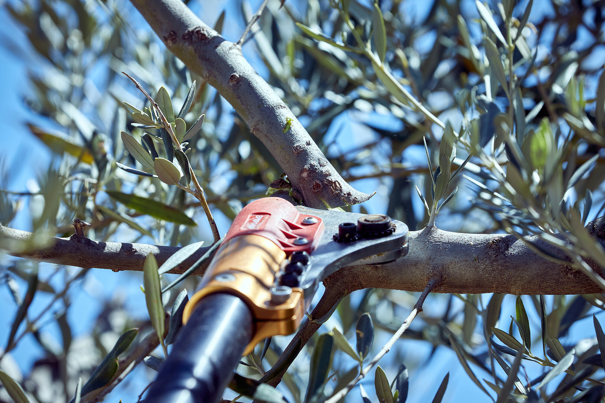 Tijera pértiga a batería 40mm de corte / EPRP140P