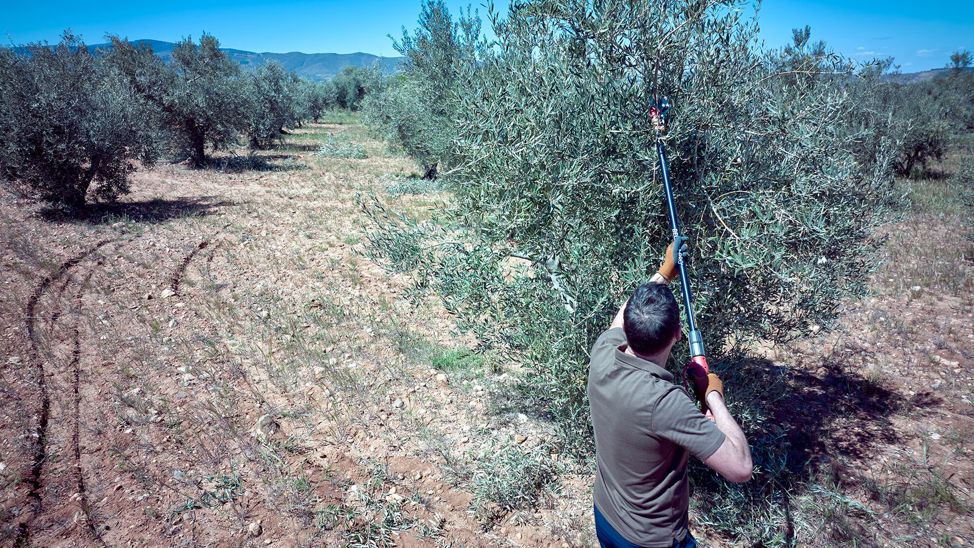 Tijera pértiga a batería 40mm de corte / EPRP140P