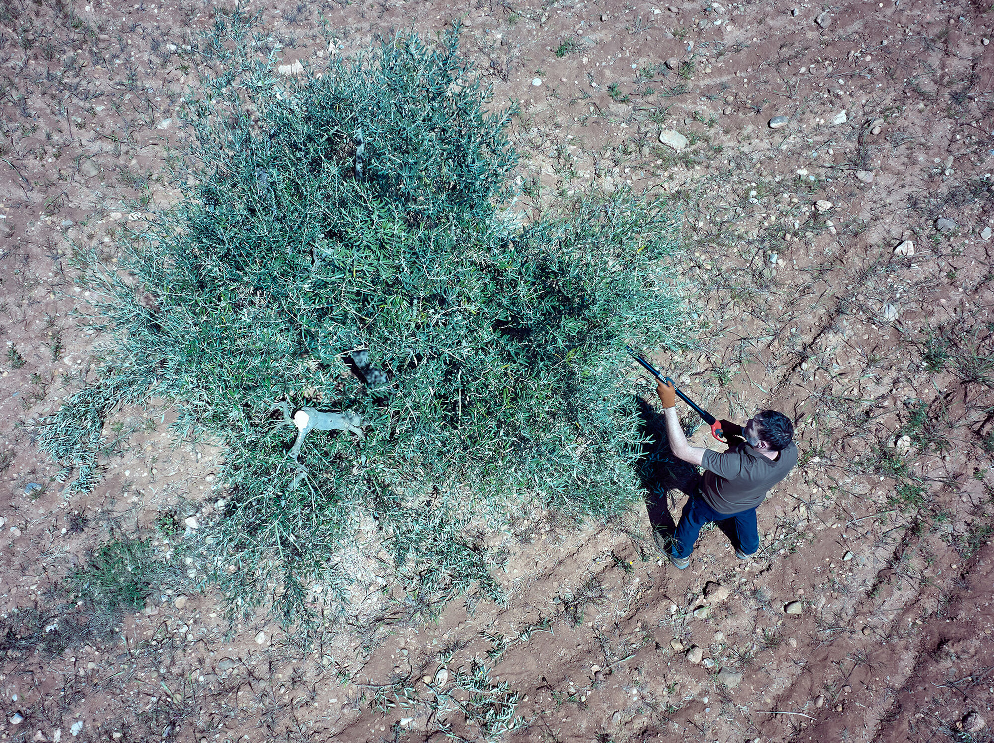 Tijera pértiga a batería 40mm de corte / EPRP140P