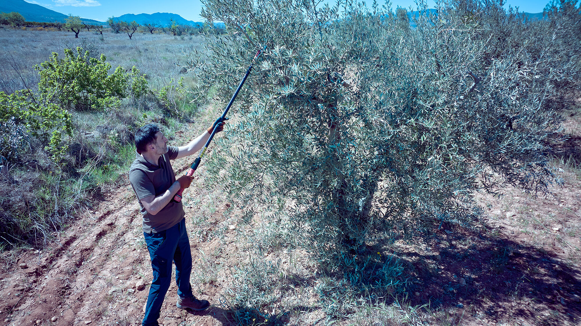 Tijera pértiga a batería 40mm de corte / EPRP140P
