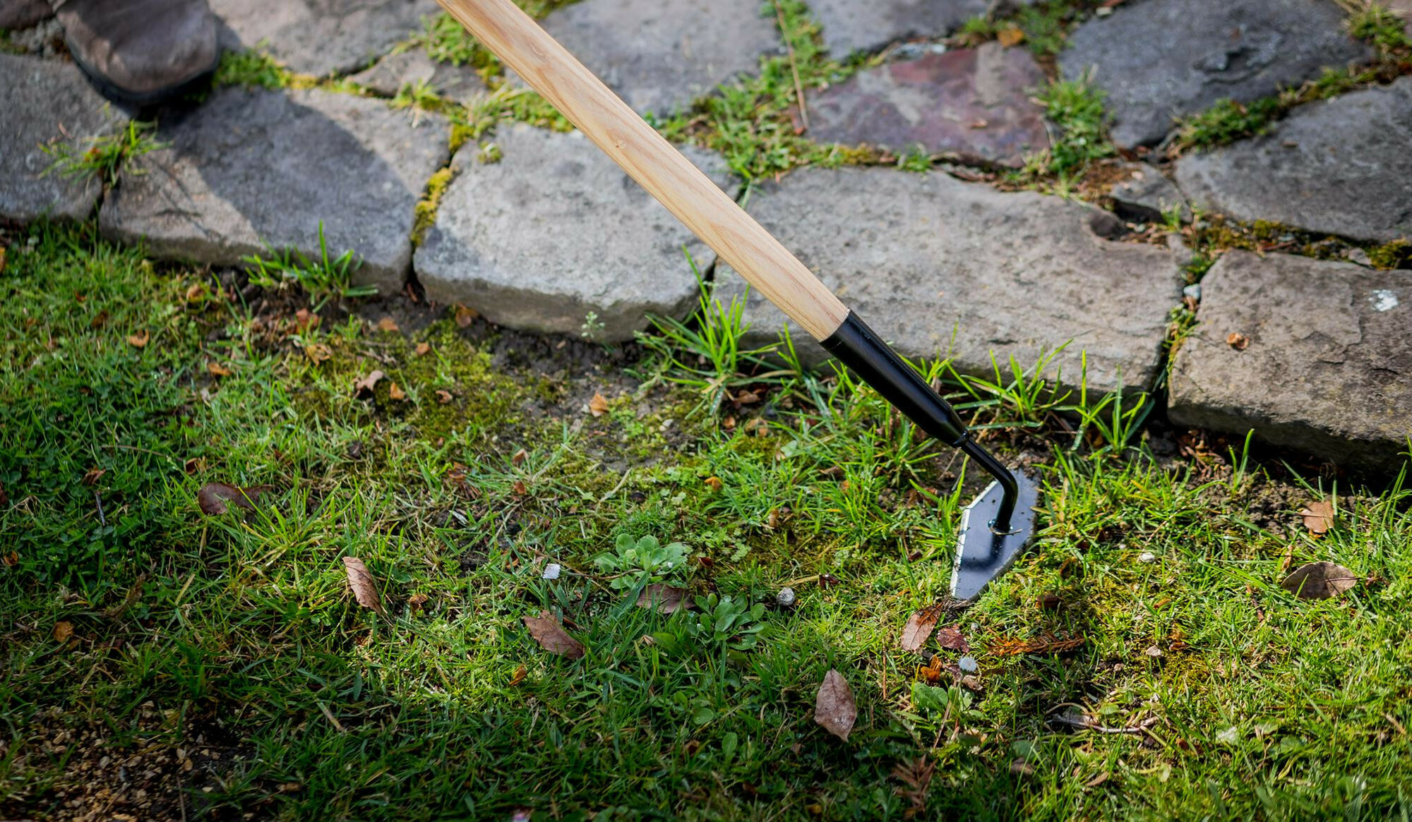 Azada Diamante con mango /  LHT3085W1500