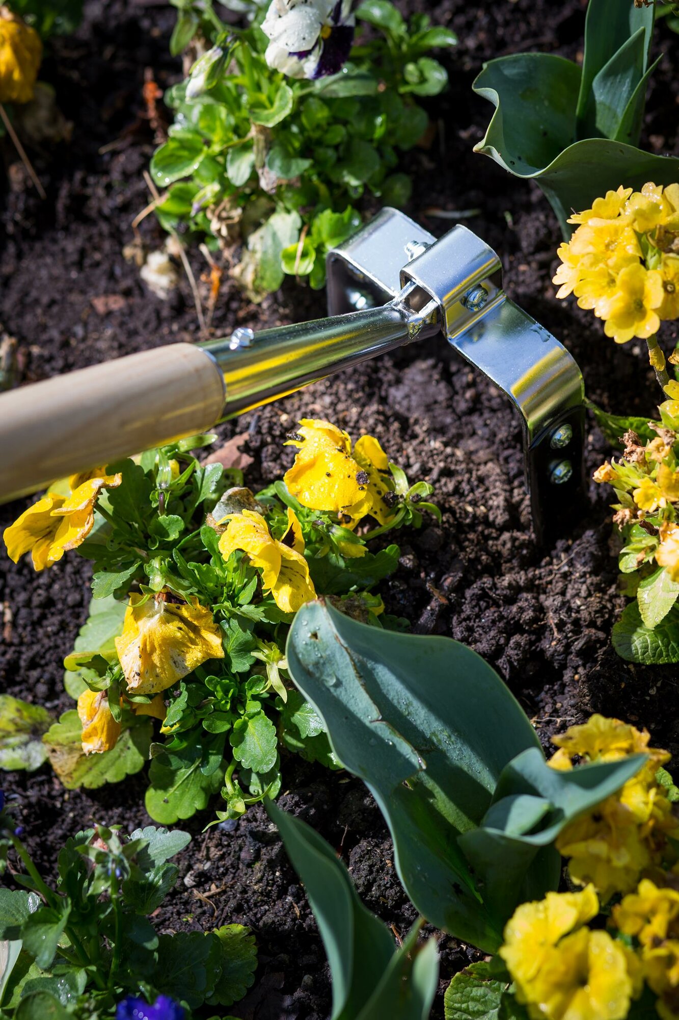 Azada oscilante ancho 13cm con mango de madera certificada de 1500 / LHT308612W1500