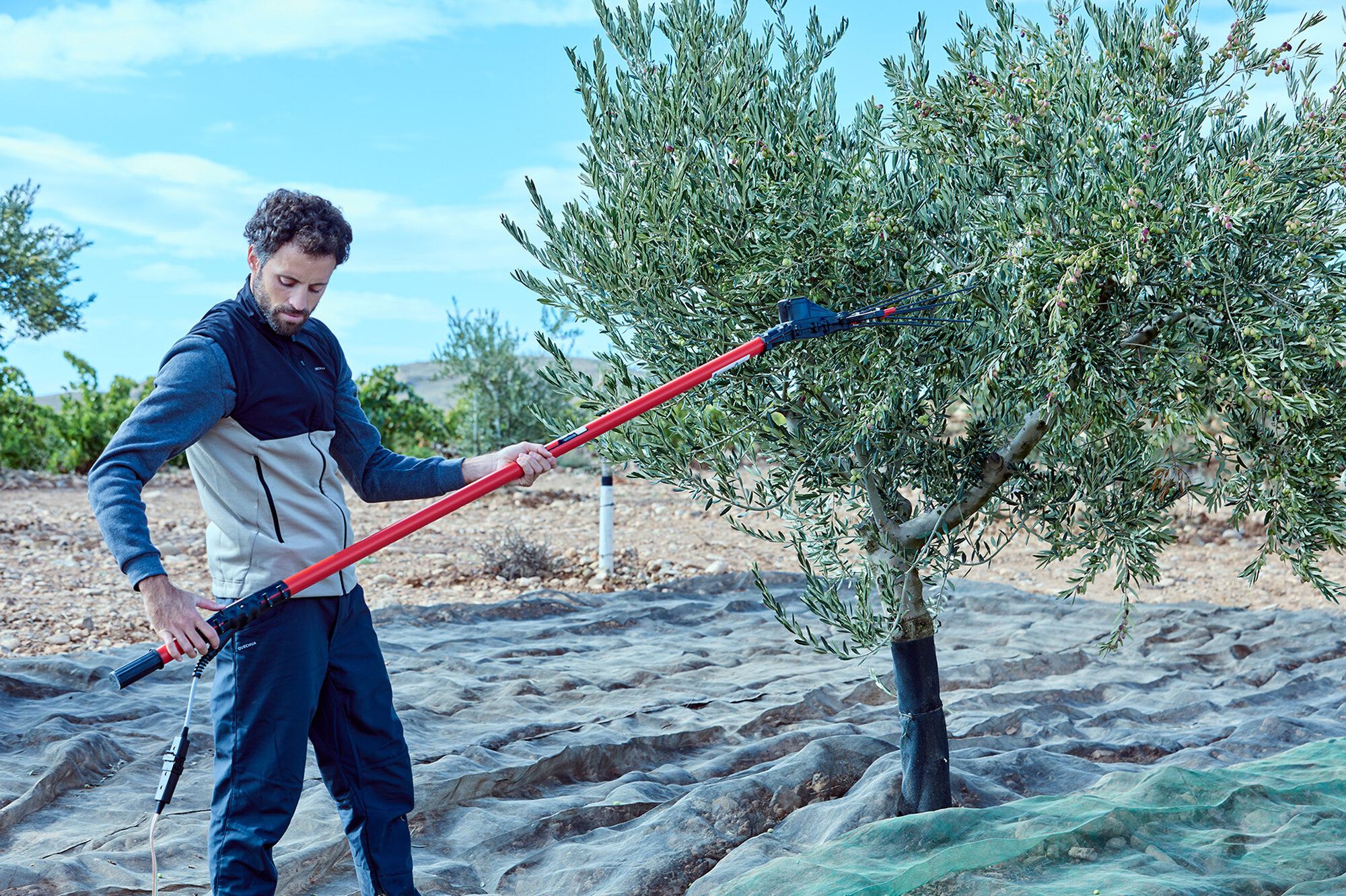 Vareador de aceitunas Cigüeña  con 2 velocidades