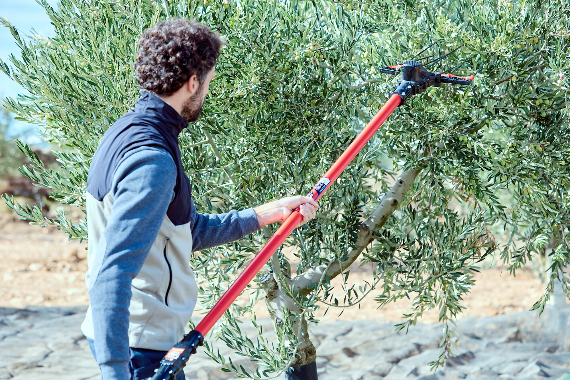 Vareador de aceitunas Cigüeña  con 2 velocidades