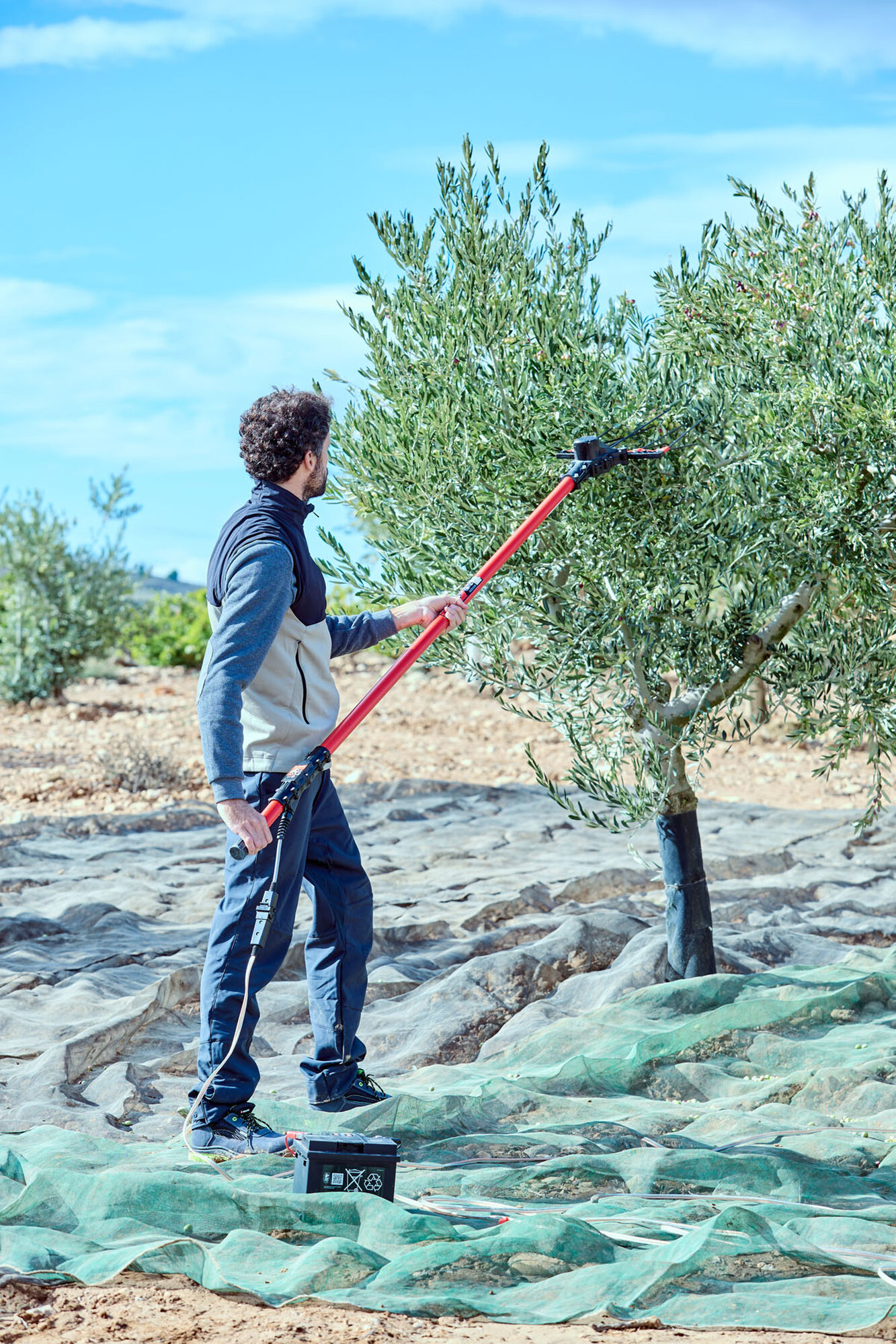 Vareador de aceitunas Cigüeña  con 2 velocidades