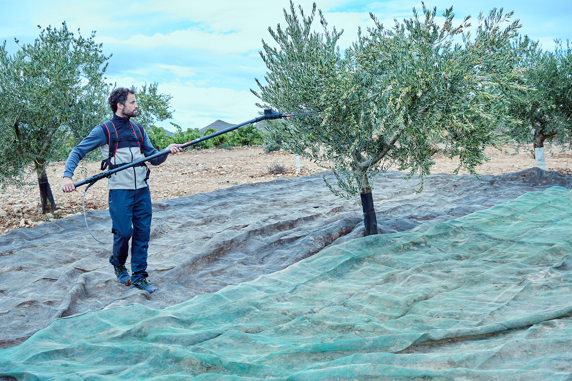Vareador de aceitunas Colibrí con 3 velocidades VA1PRO