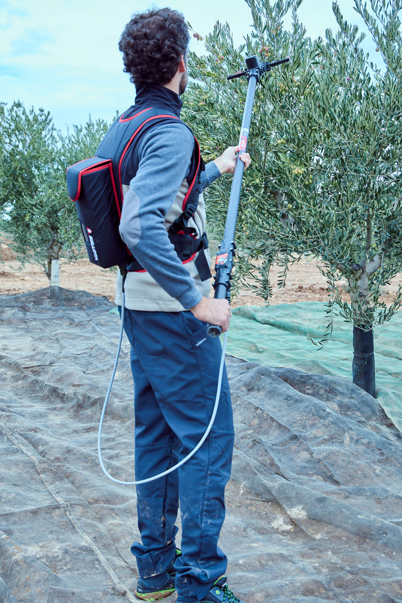 Vareador de aceitunas Colibrí con 3 velocidades VA1PRO