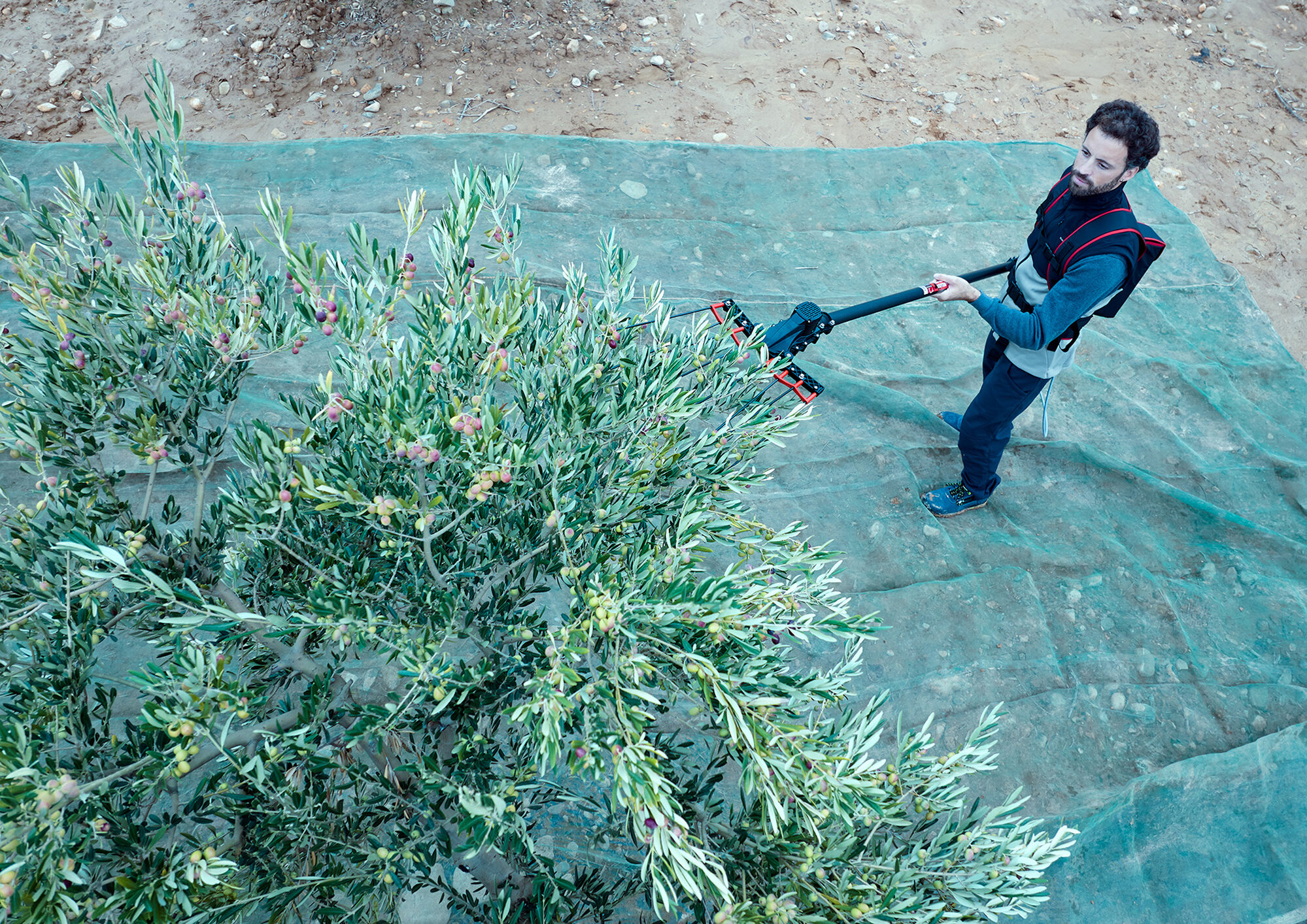 Vareador de aceitunas Colibrí con 3 velocidades VA1PRO