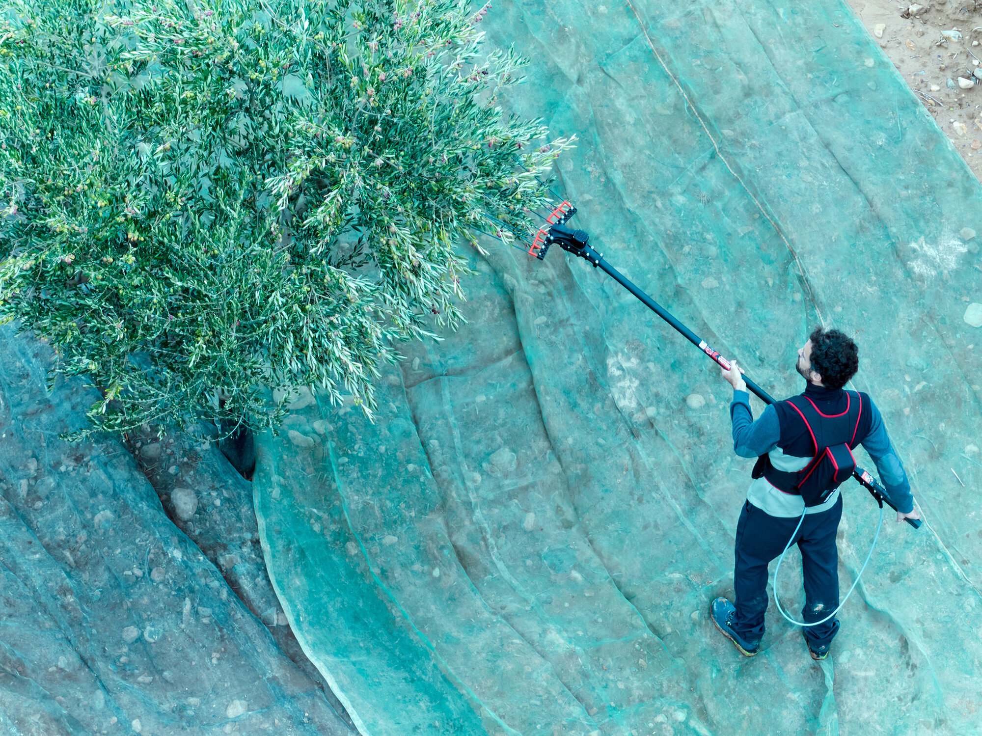 Vareador de aceitunas Colibrí con 3 velocidades VA1PRO