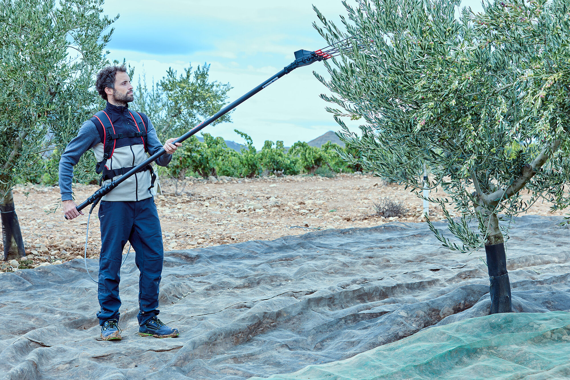 Batería de espalda de Litio-ion, 14,8V, 40AH para el vareador VA1PRO