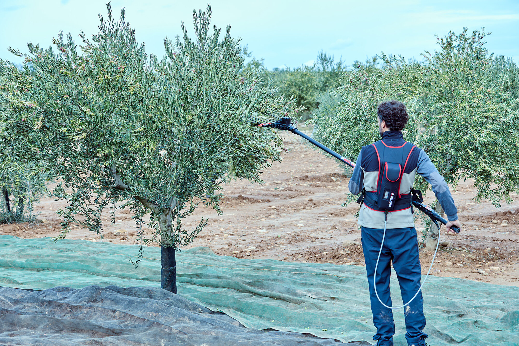 Batería de espalda de Litio-ion, 14,8V, 40AH para el vareador VA1PRO