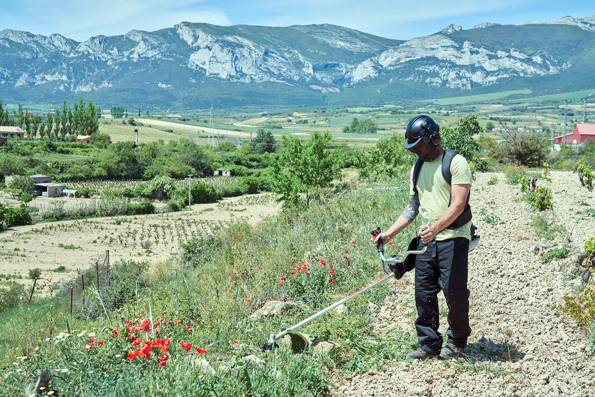 Desbrozadora a gasolina 53cc / DB5300E