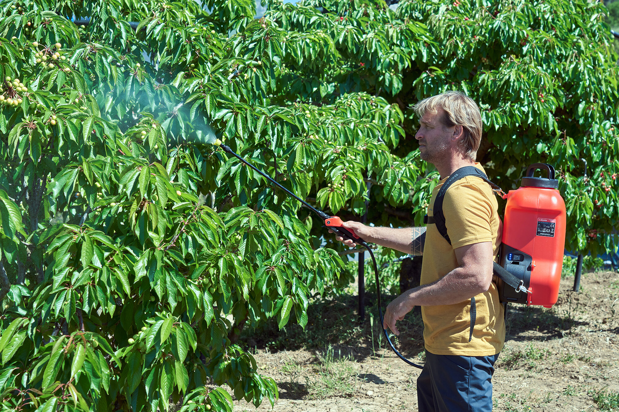 Pulverizador a batería 18v / PL1600BE