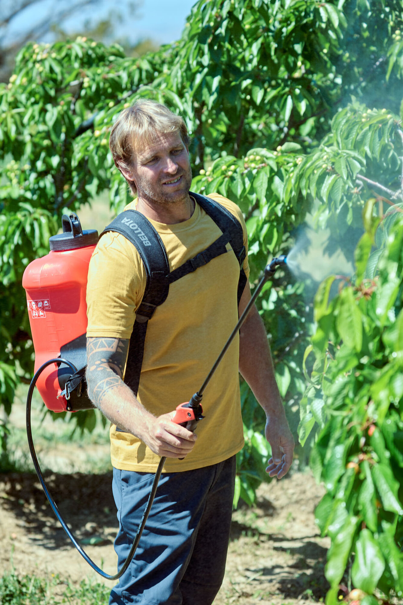 Pulverizador a batería 18v / PL1600BE