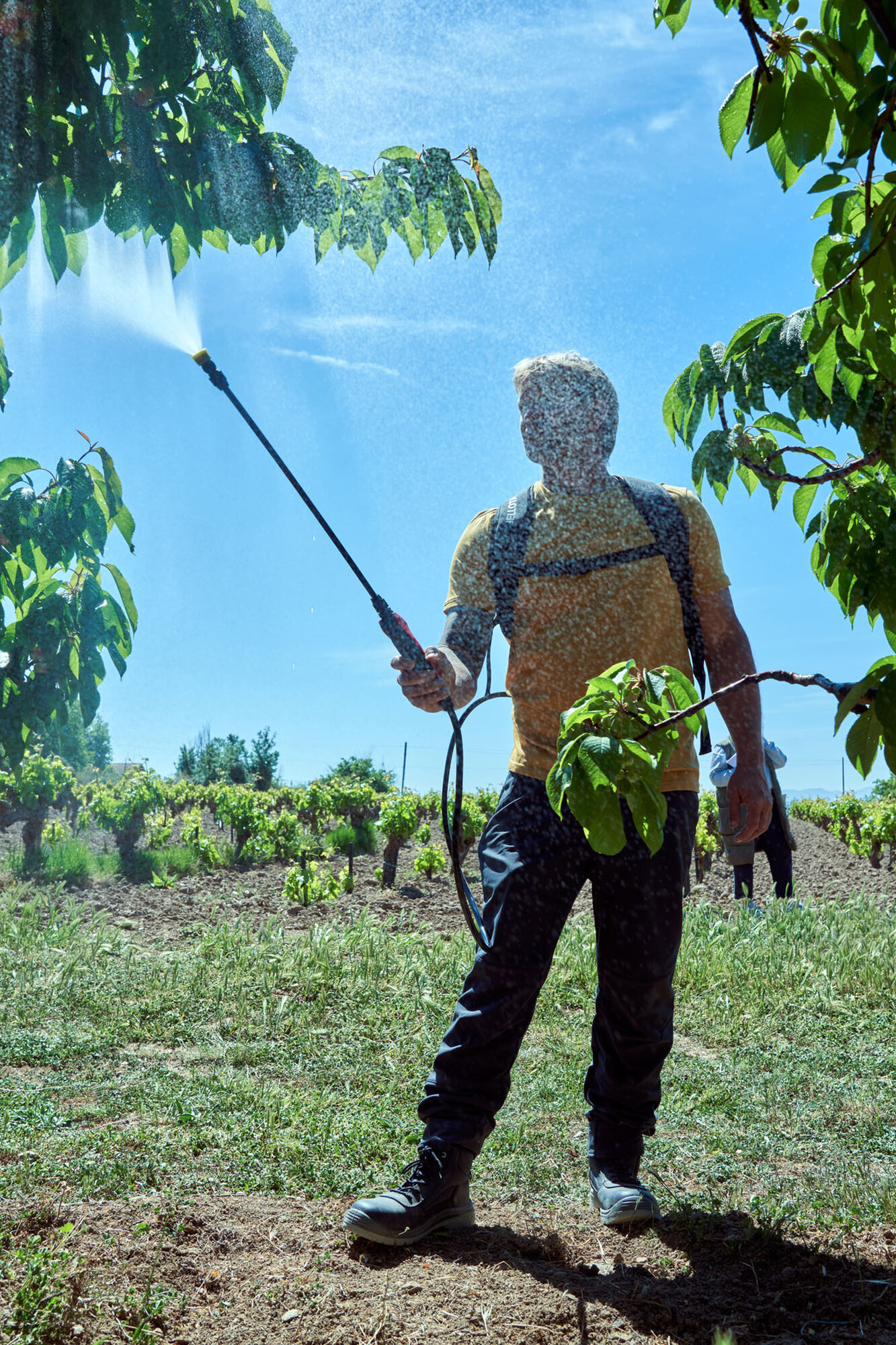 Pulverizador a batería 18v / PL1600BE