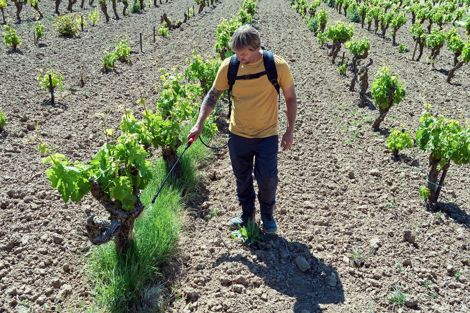 Pulverizador a batería 18v / PL1600BE