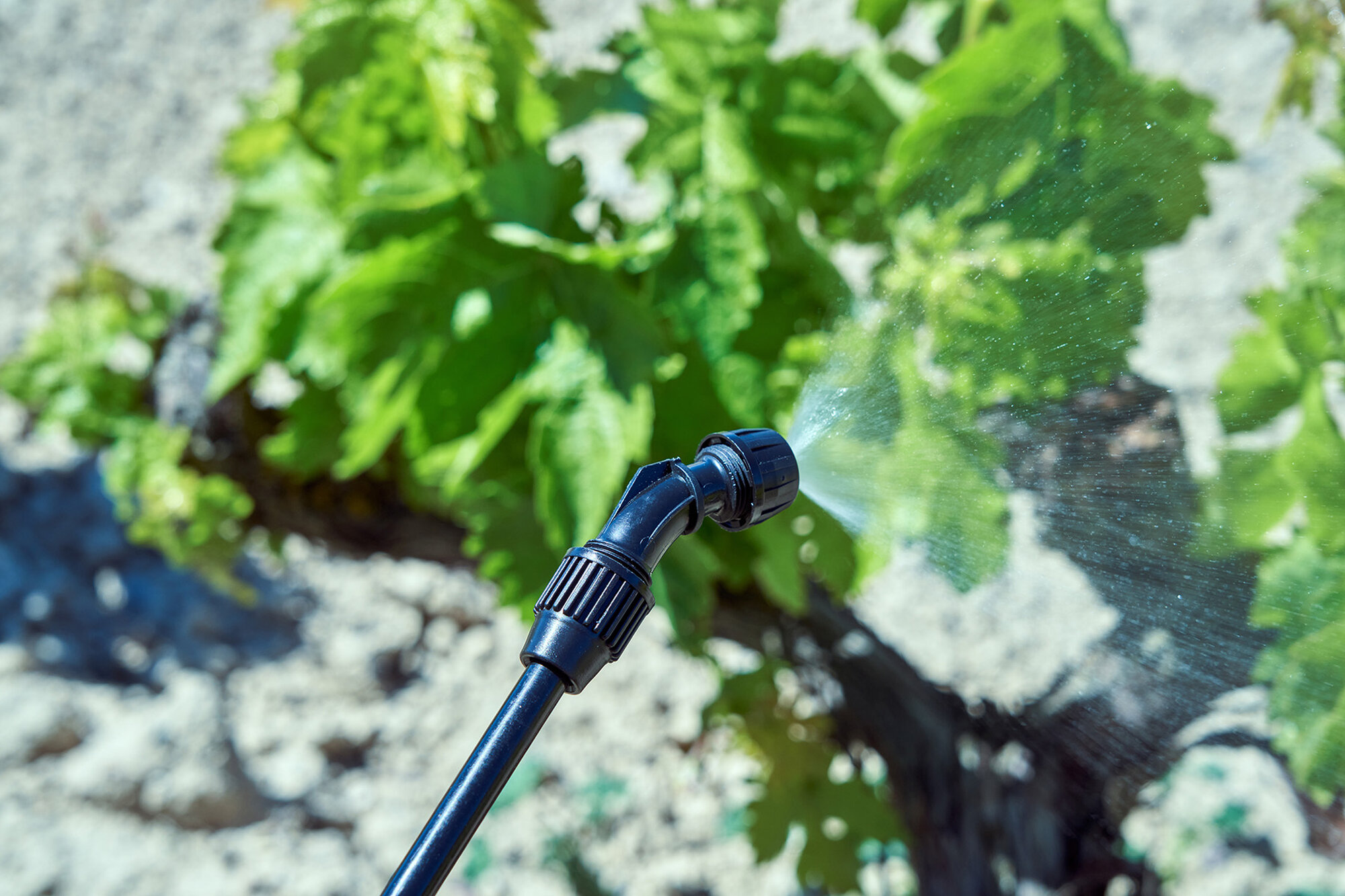 Pulverizador a batería 18v / PL1600BE