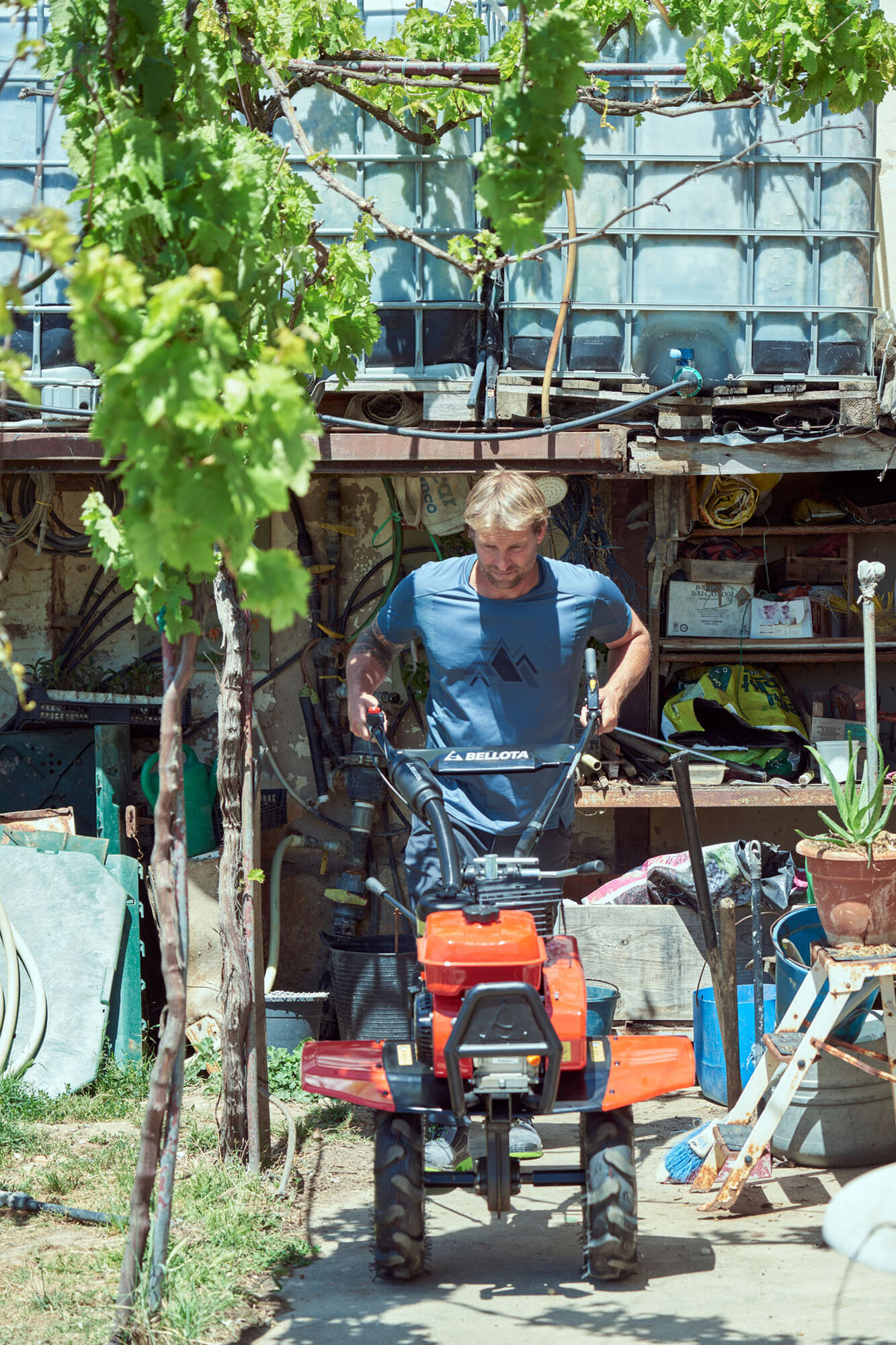 Motoazada 7 CV con 2 + 1 velocidades / MZ2010E