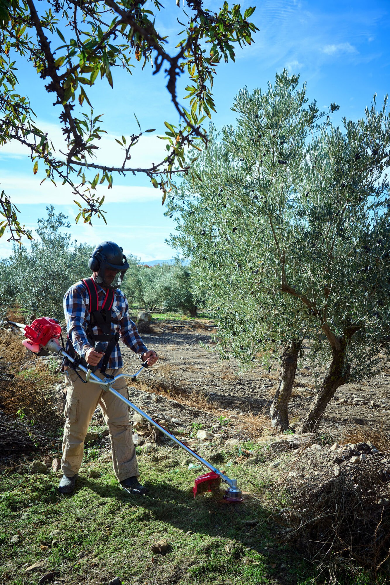 Desbrozadora a gasolina 42,7cc / DB4300E
