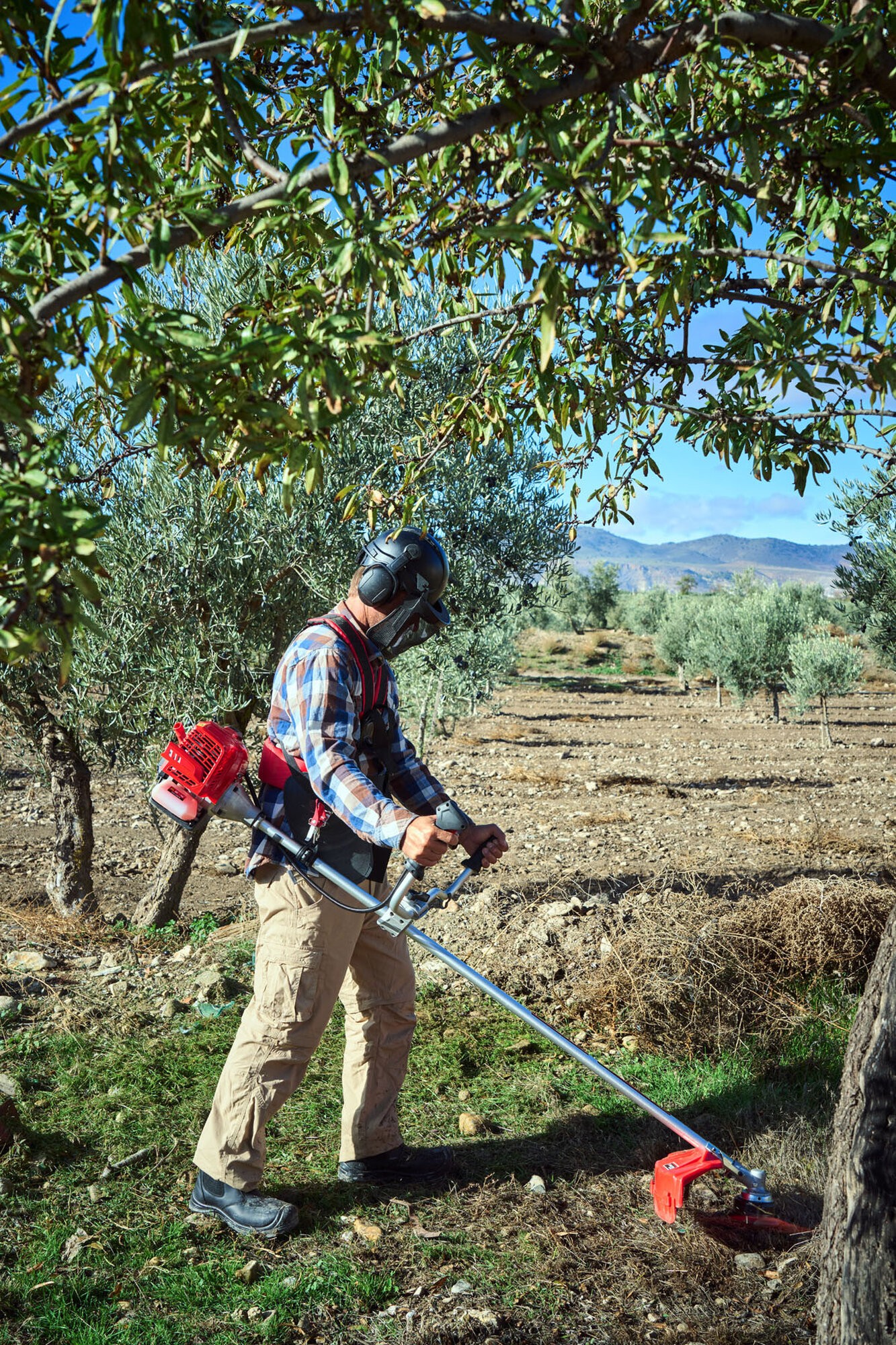 Desbrozadora a gasolina 42,7cc / DB4300E