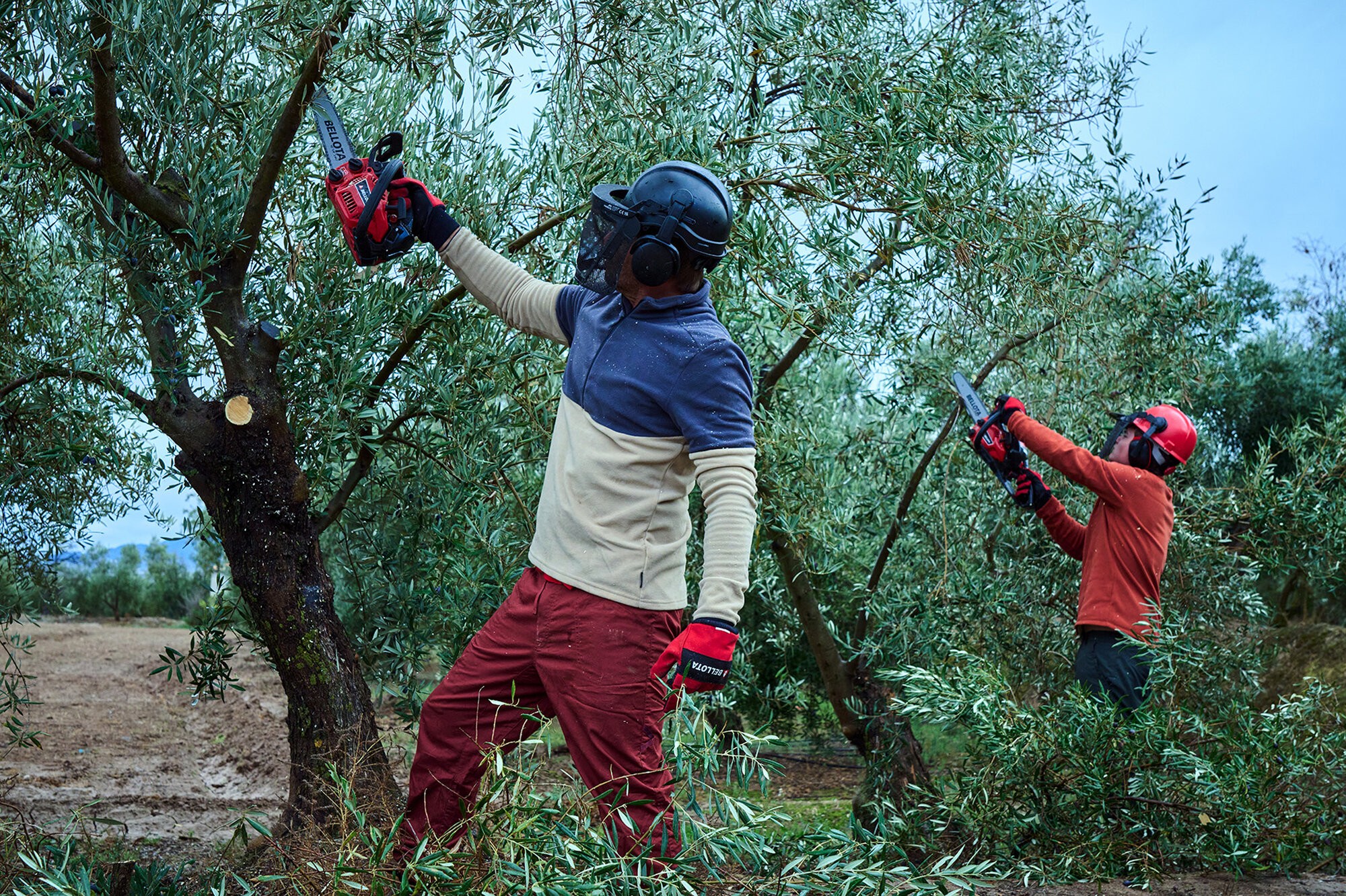 Motosierra de poda de 1 mano a gasolina 25cc / MS1P2500E