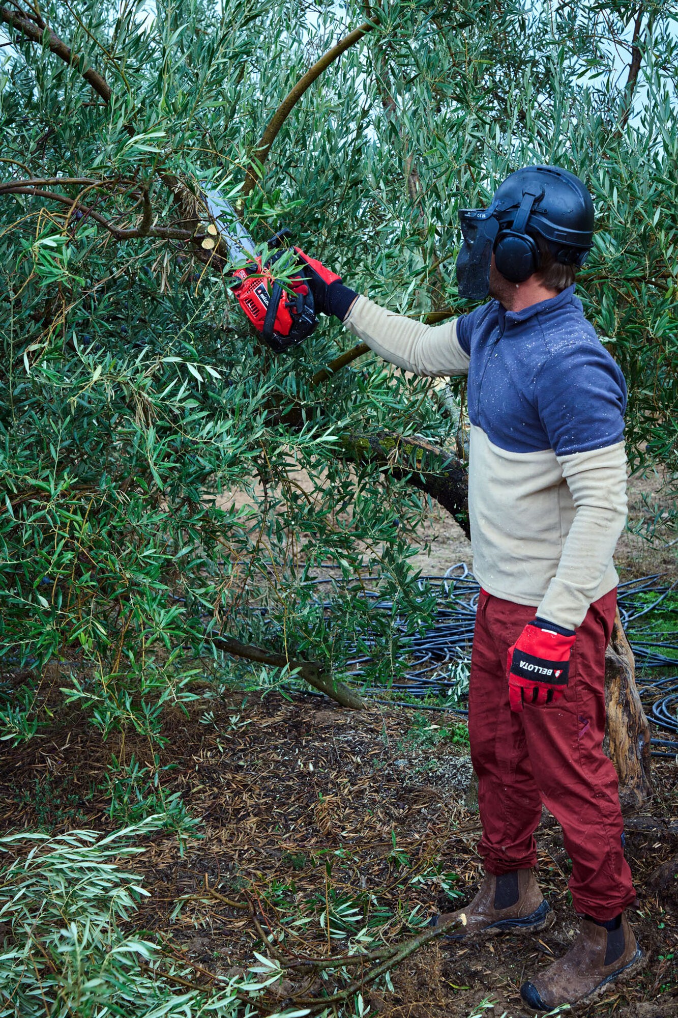 Motosierra de poda de 1 mano a gasolina 25cc / MS1P2500E