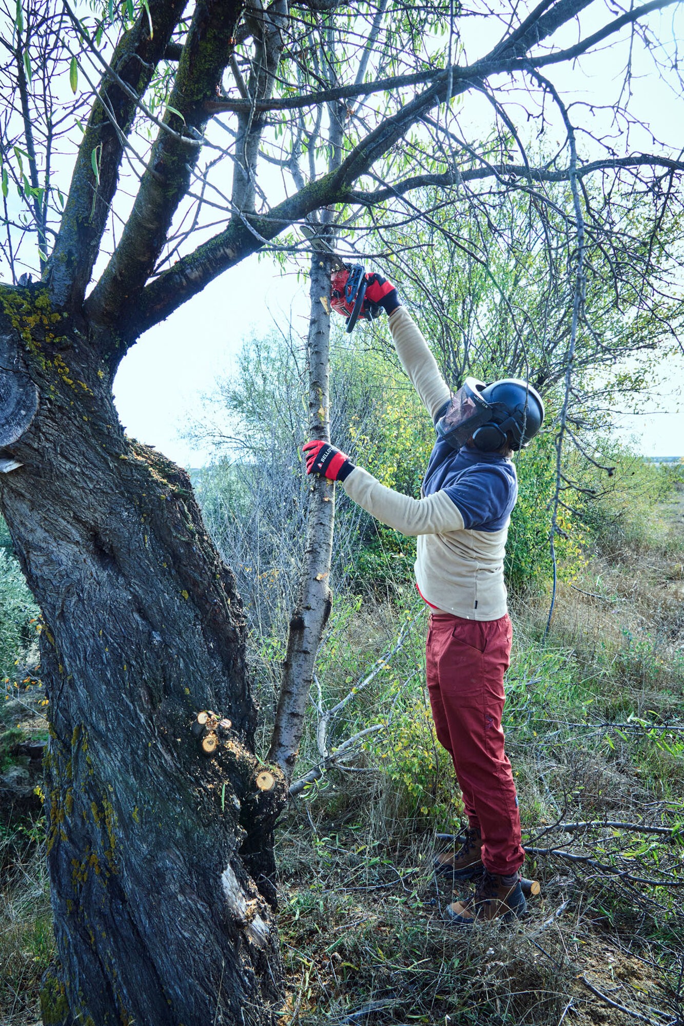 Motosierra de poda de 1 mano a gasolina 25cc / MS1P2500E