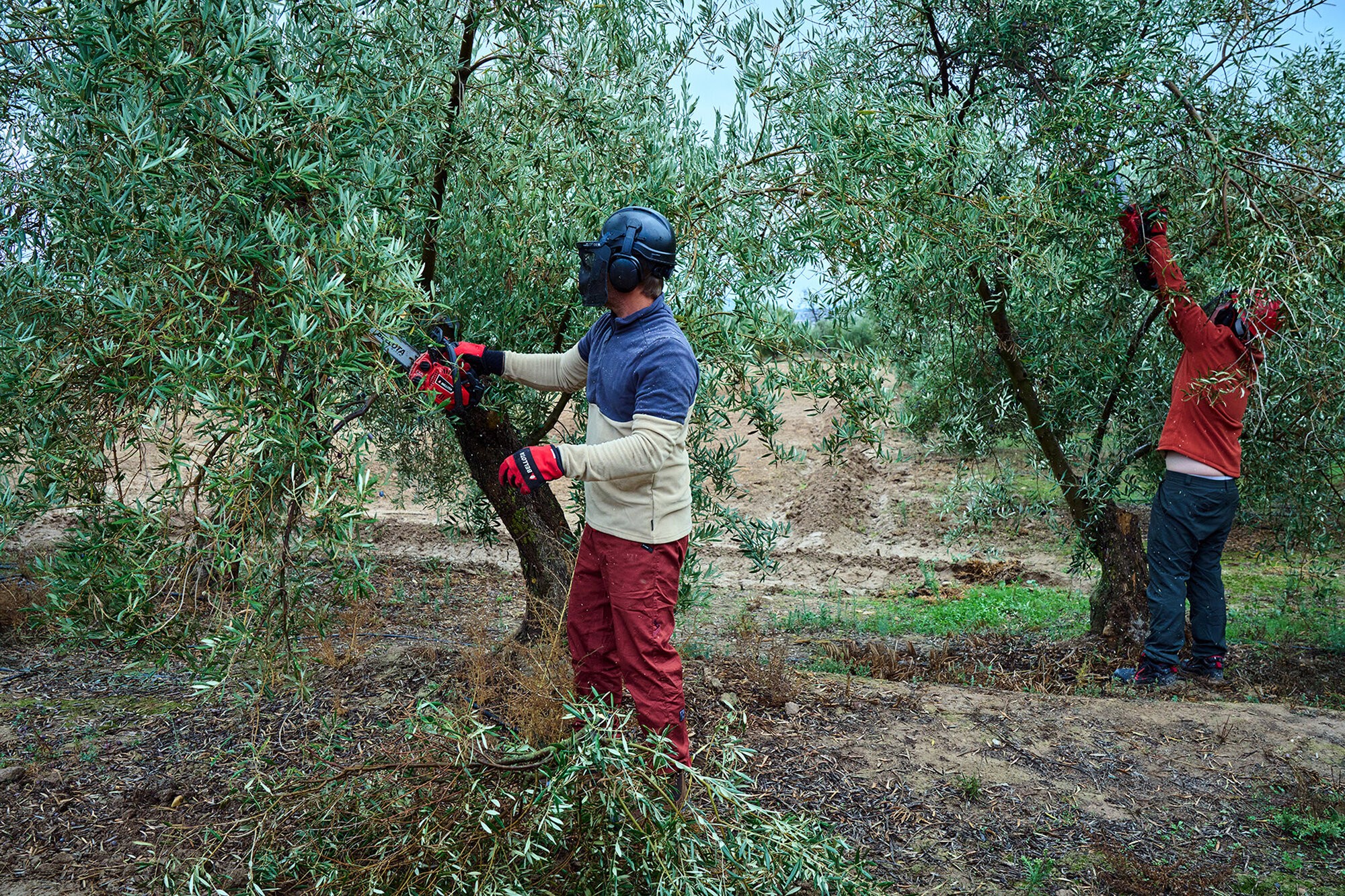 Motosierra de poda de 1 mano a gasolina 25cc / MS1P2500E