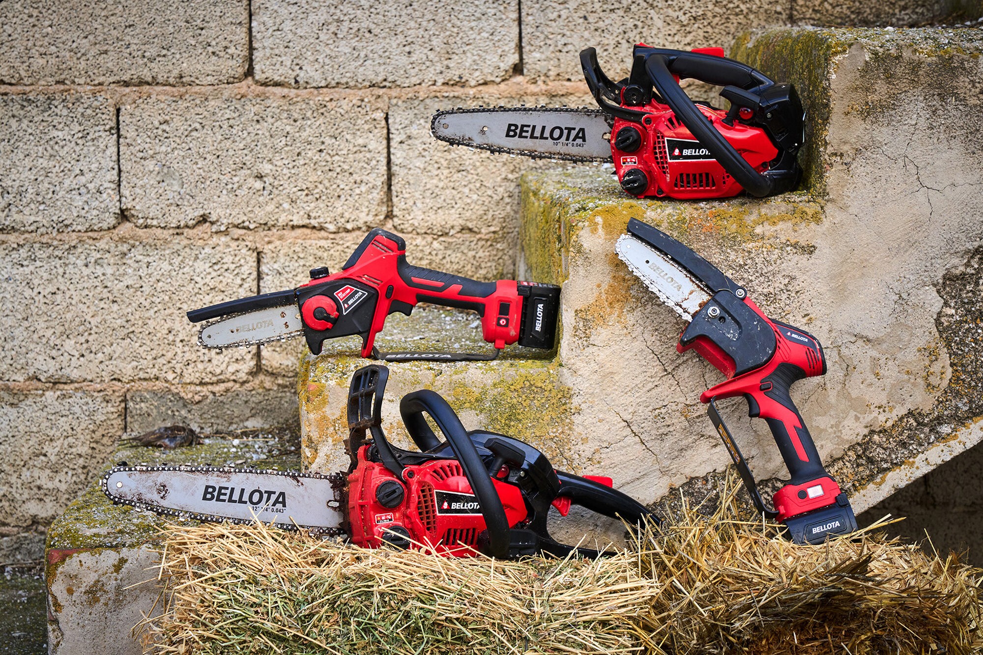 Motosierra de poda de 1 mano a gasolina 25cc / MS1P2500E