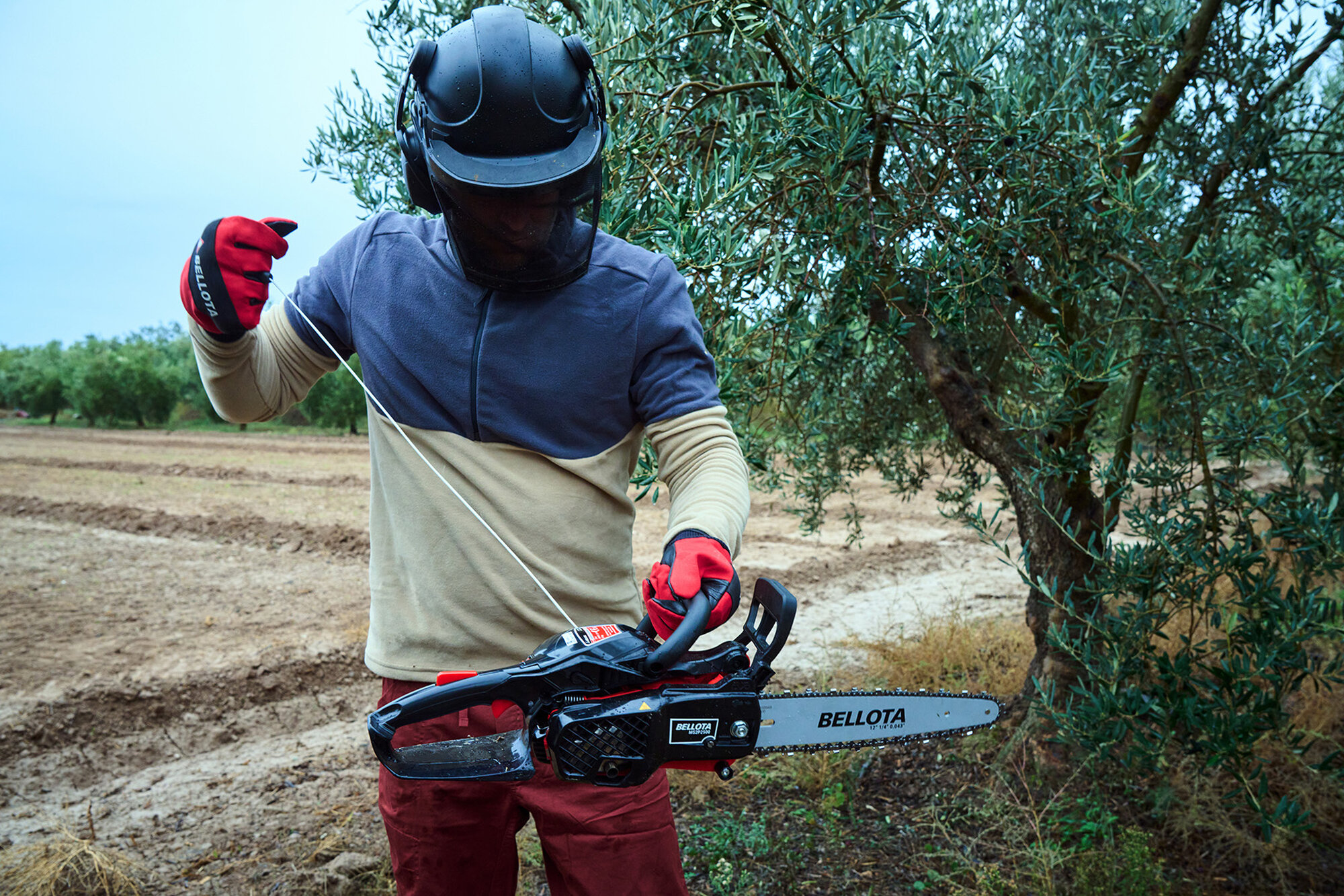 Motosierra de poda de 2 manos a gasolina 25cc / MS2P2500E