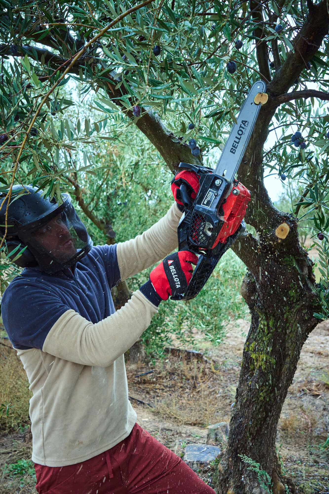 Motosierra de poda de 2 manos a gasolina 25cc / MS2P2500E
