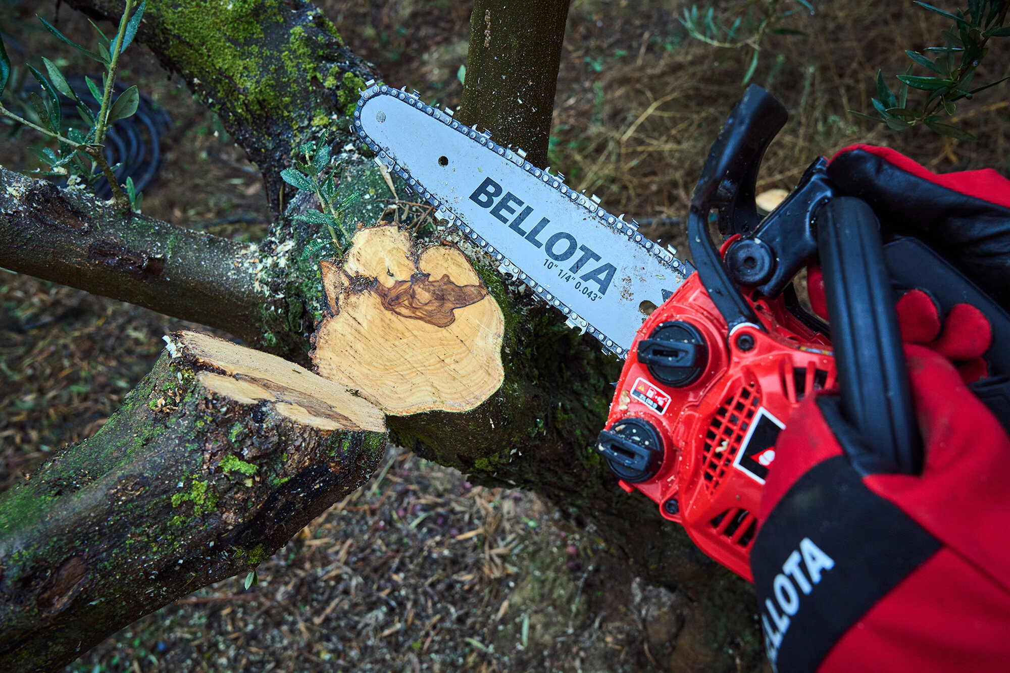 Motosierra de poda de 2 manos a gasolina 25cc / MS2P2500E