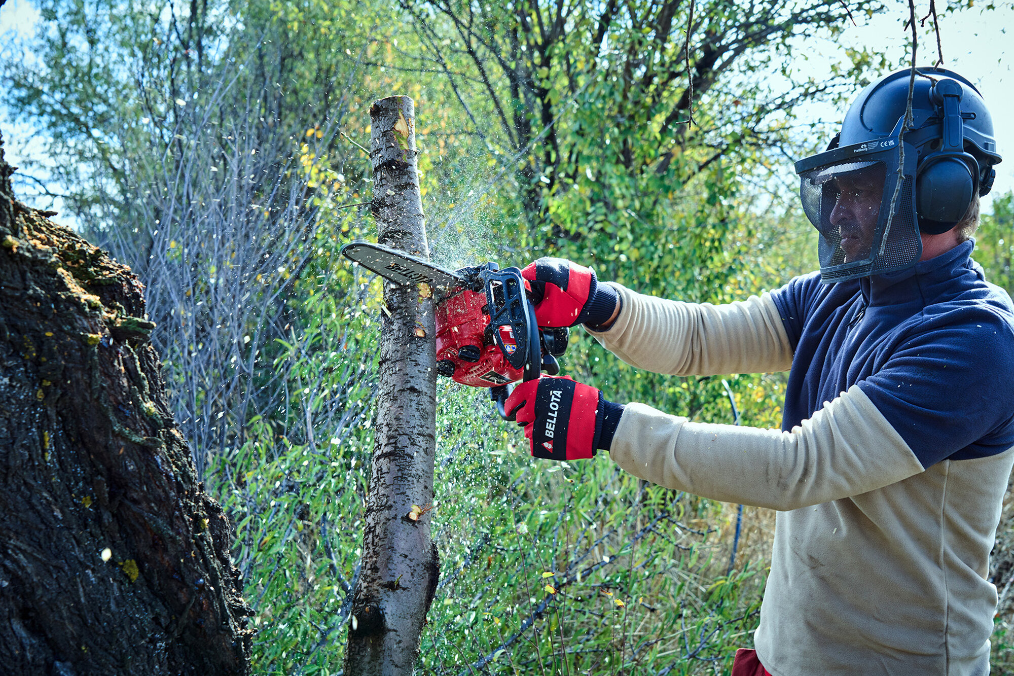 Motosierra de poda de 2 manos a gasolina 25cc / MS2P2500E