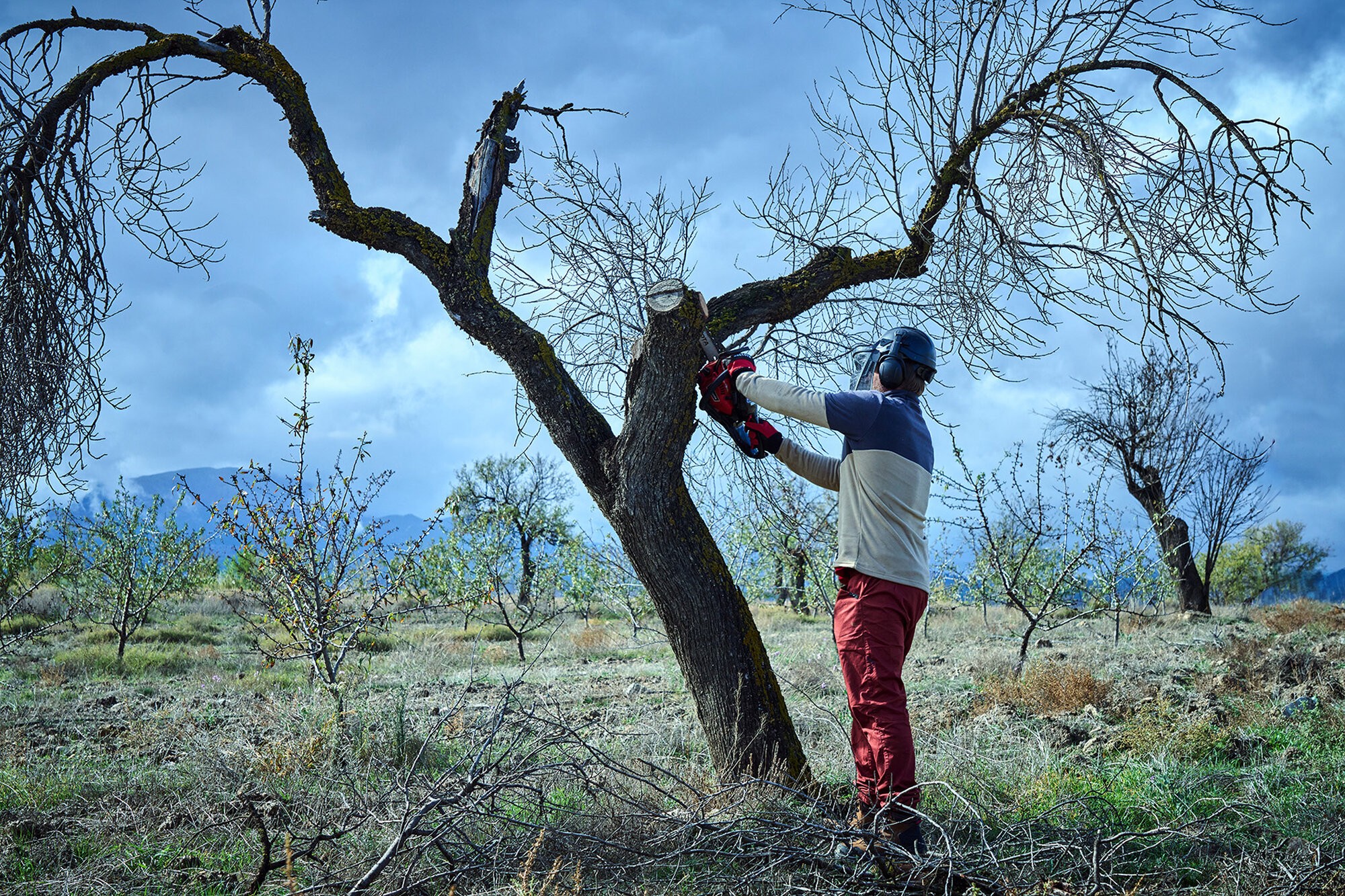 Motosierra de poda de 2 manos a gasolina 25cc / MS2P2500E