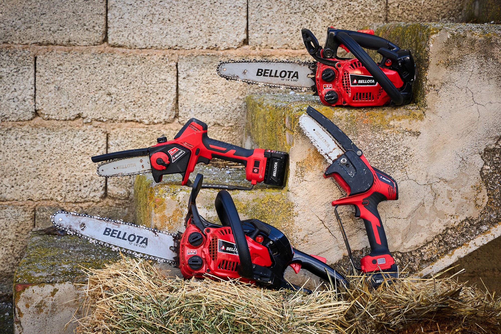 Motosierra de poda de 2 manos a gasolina 25cc / MS2P2500E