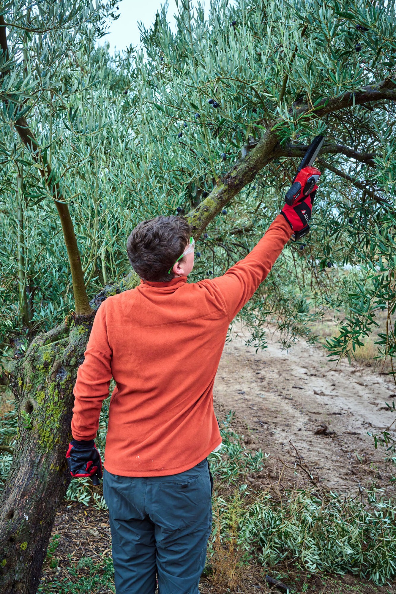 Motosierra Eléctrica a batería para el profesional, 21,6V/ECS2110P