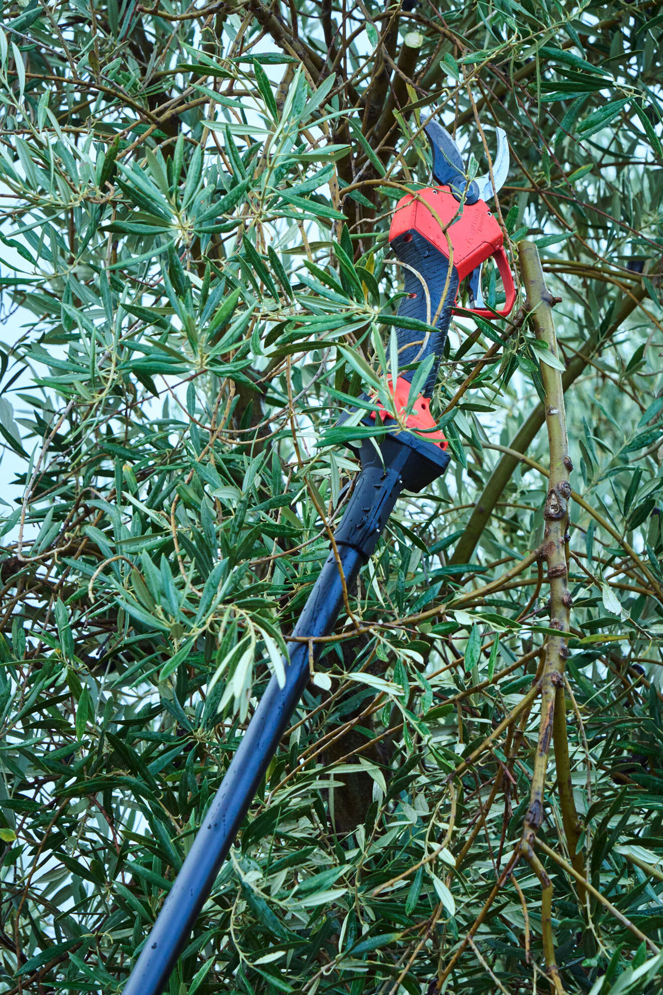 Pértiga extensible hasta 2,2m compatible con las tijeras eléctricas a batería  / EPP2EXTP