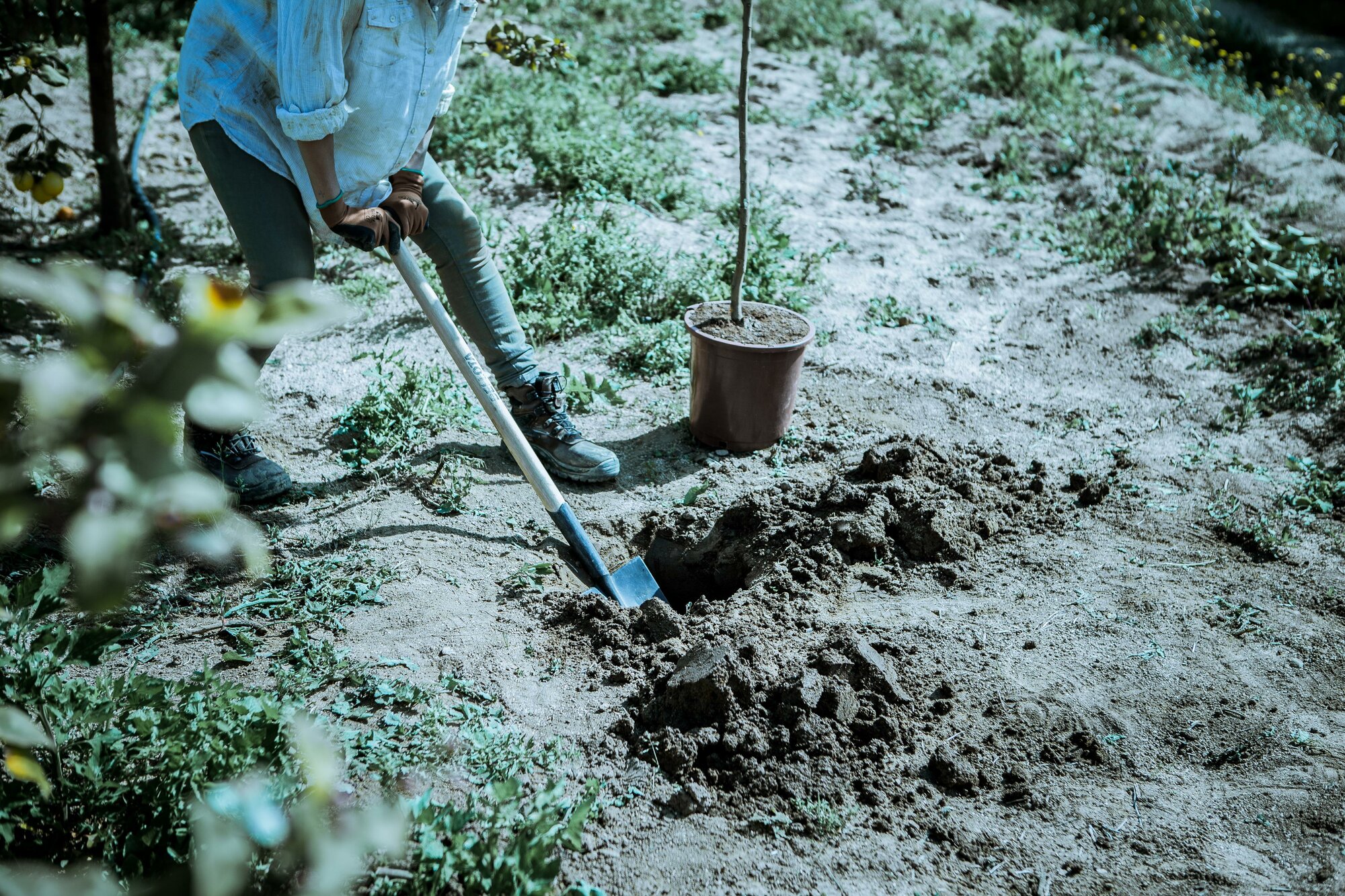 Palote Forjado de uso intensivo y en terrenos pedregosos / 5604M