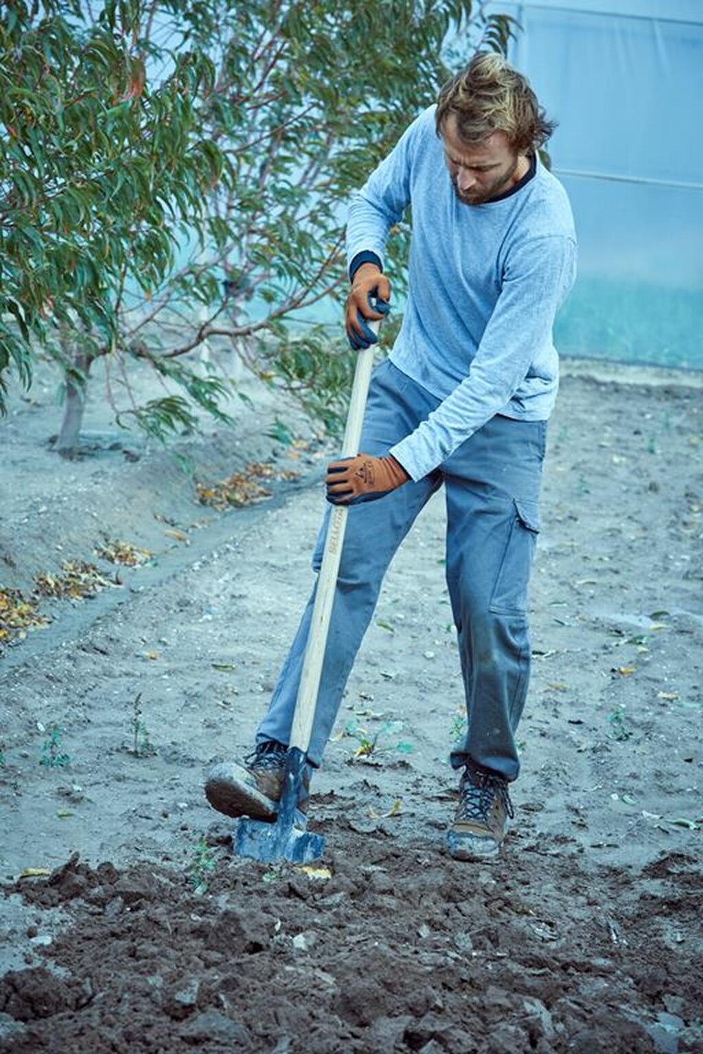 Palote Forjado de uso intensivo y en terrenos pedregosos / 5604L