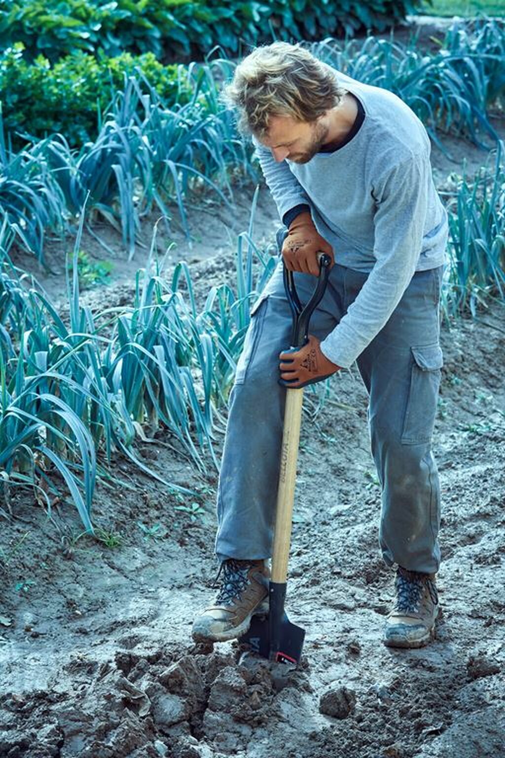 Palote estampado para trasplantar y perfilar el terreno / 5573A