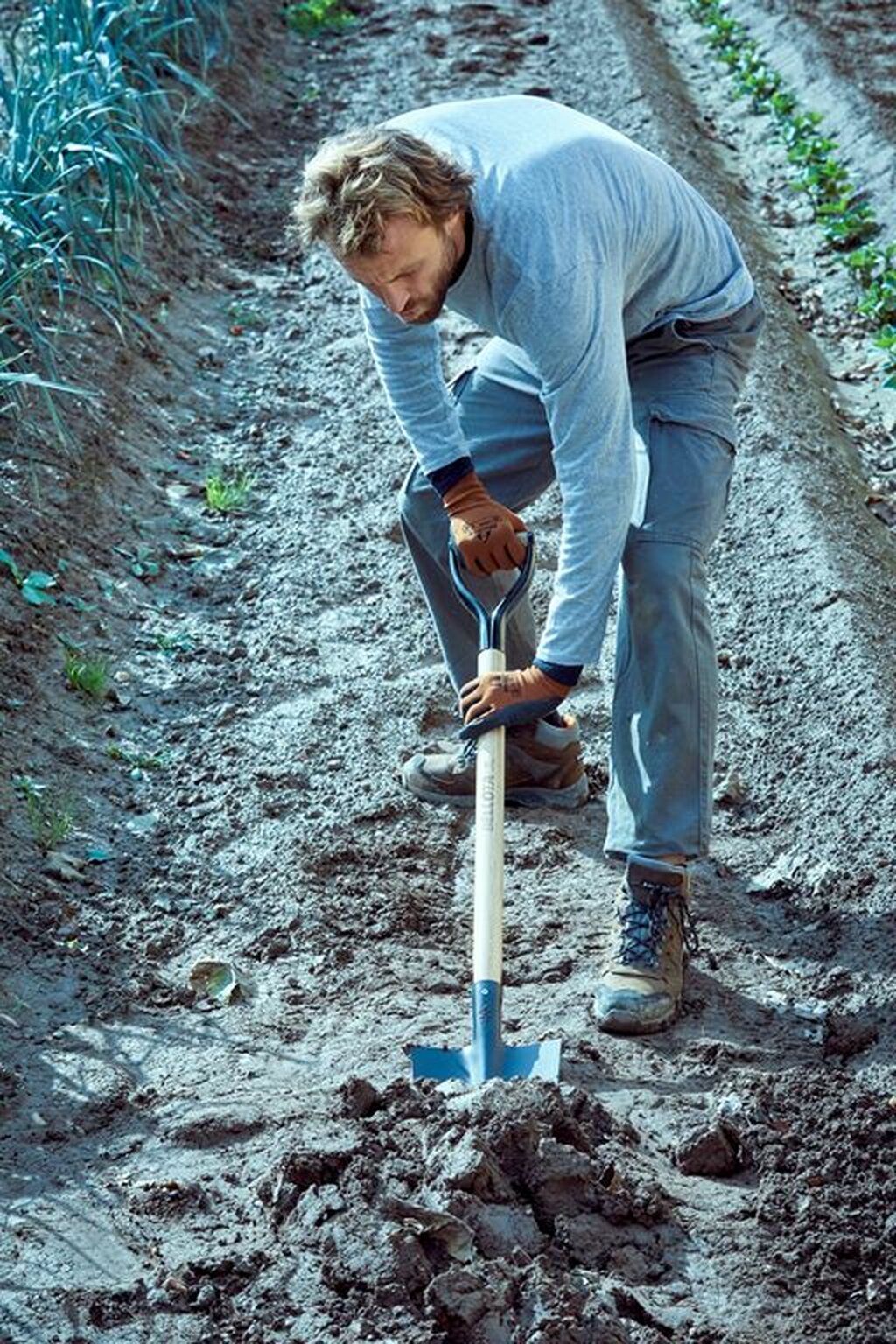 Palote estampado para trasplantar y perfilar el terreno / 5573A