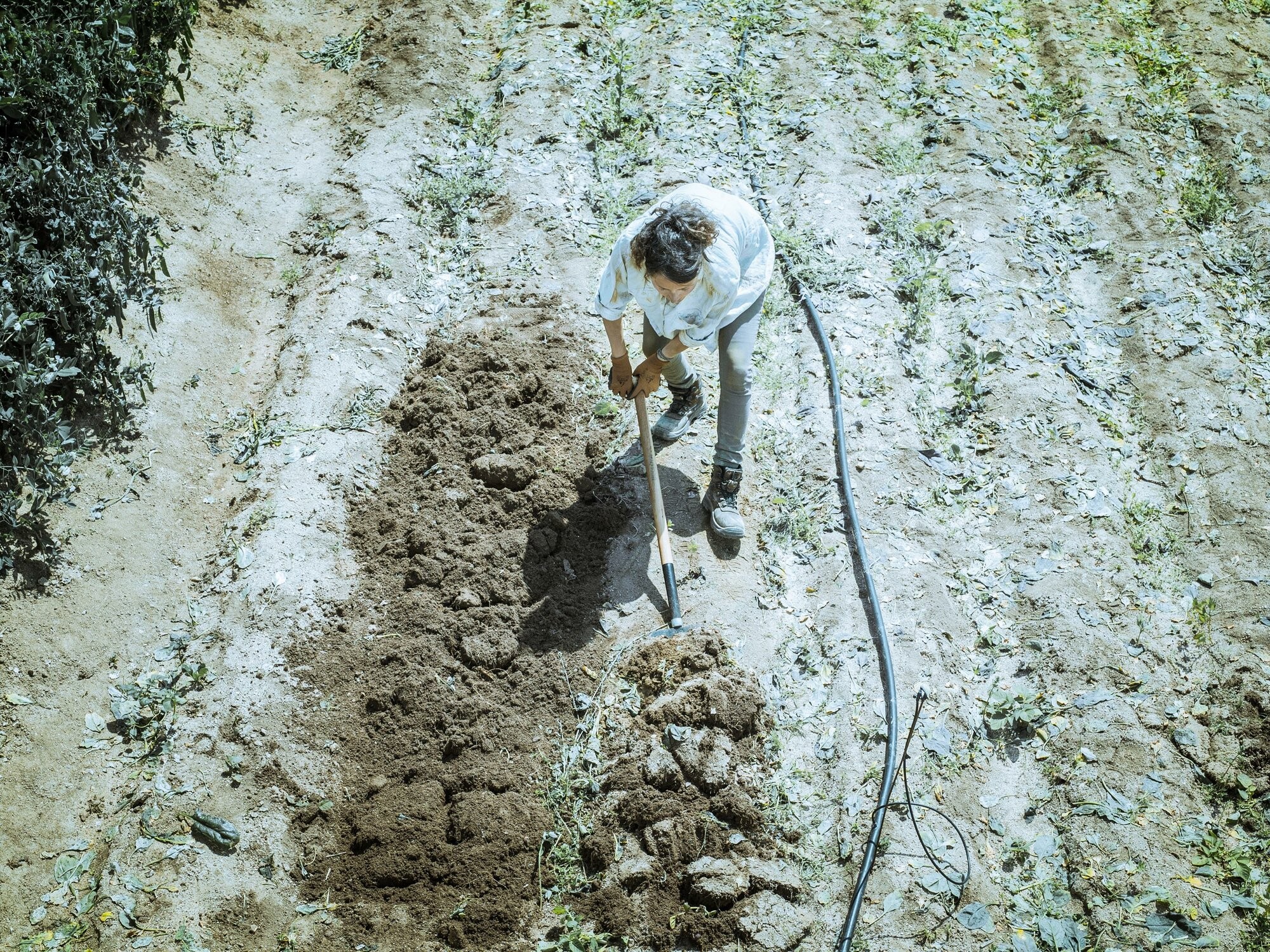 Horca de jardín, dientes forjados y planos para remover y cavar la tierra. Mango muleta, madera certificada / 9114M