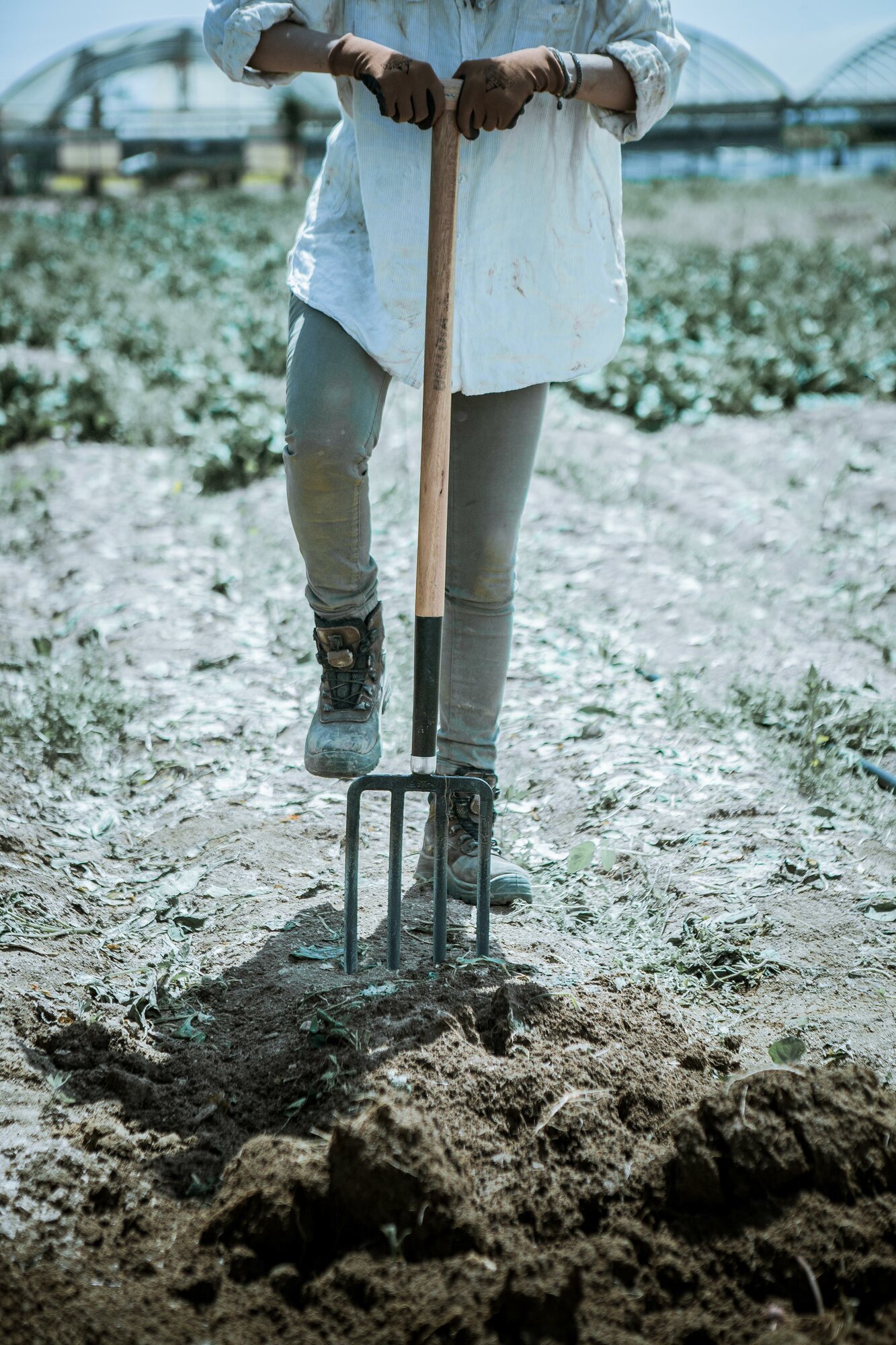 Horca de jardín, dientes forjados y planos para remover y cavar la tierra. Mango muleta, madera certificada / 9114M