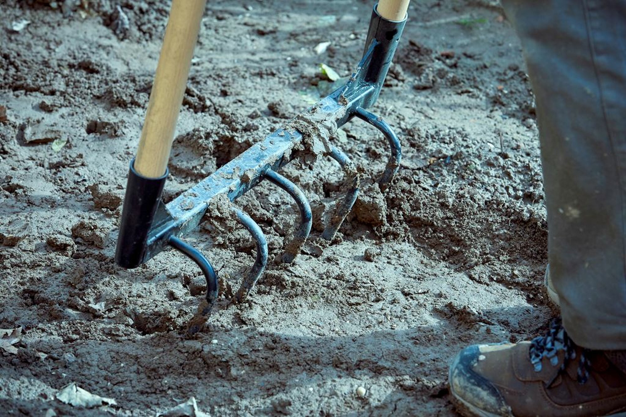 Horca Ecológica 5 púas, mangos de madera certificada / 9145ECO