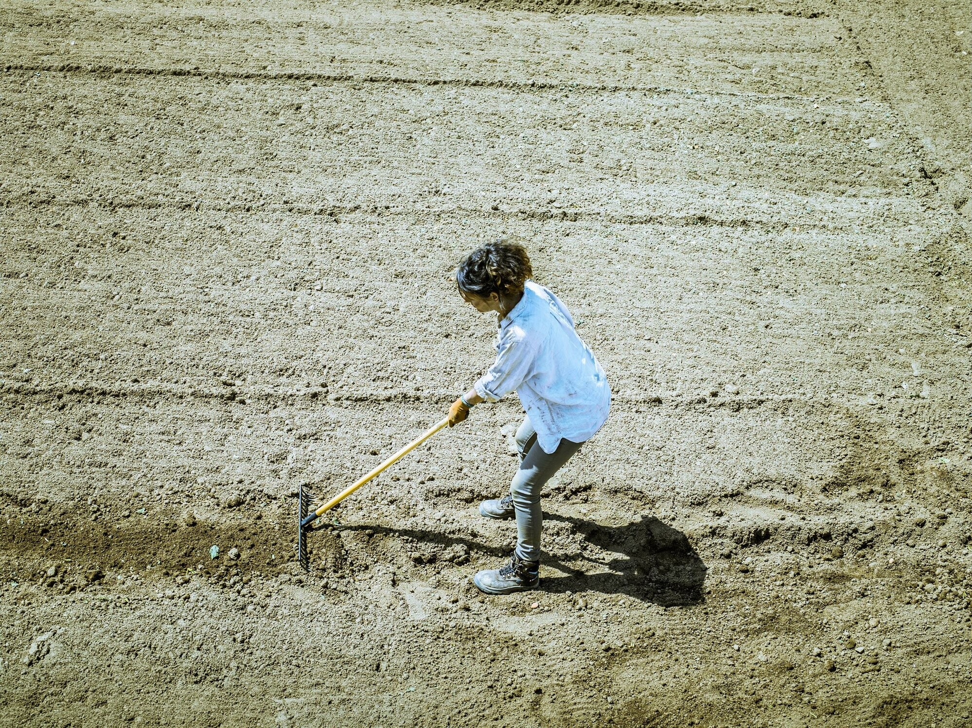 Rastrillo alta intensidad para preparar la tierra, limpiar, igualar y cubrir sembrados / 950