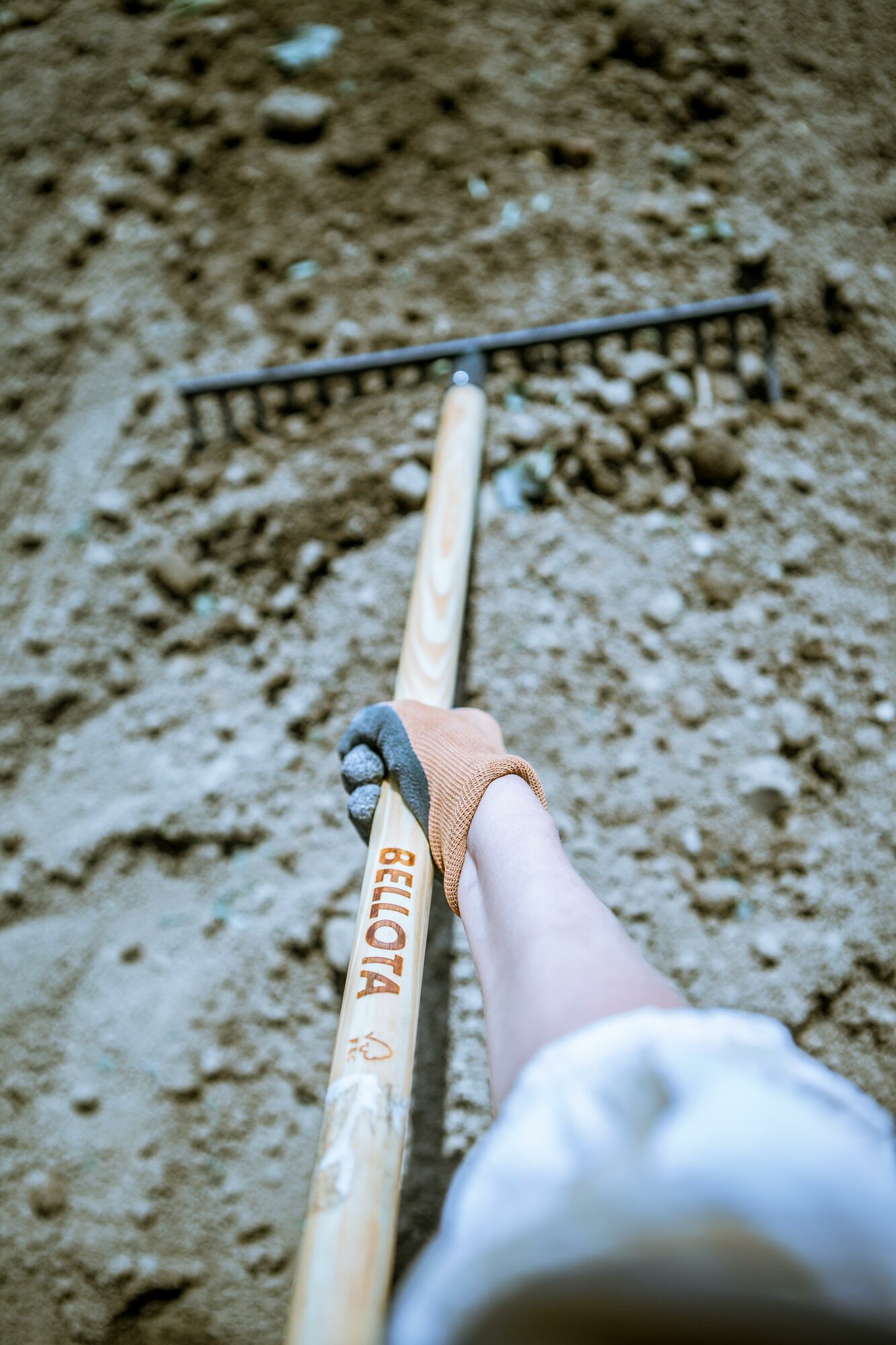 Rastrillo intensidad media para preparar la tierra, limpiar, igualar y cubrir sembrados / 951