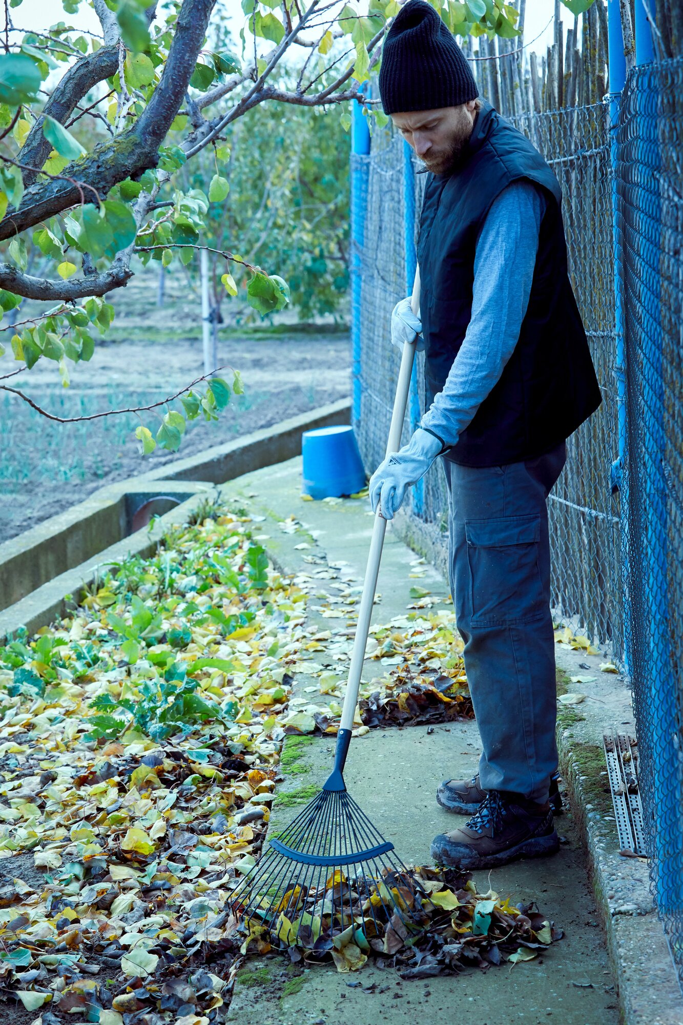 Escoba púas redondas para la limpieza de suelos de gravilla con  mango madera FSC / 3040CM