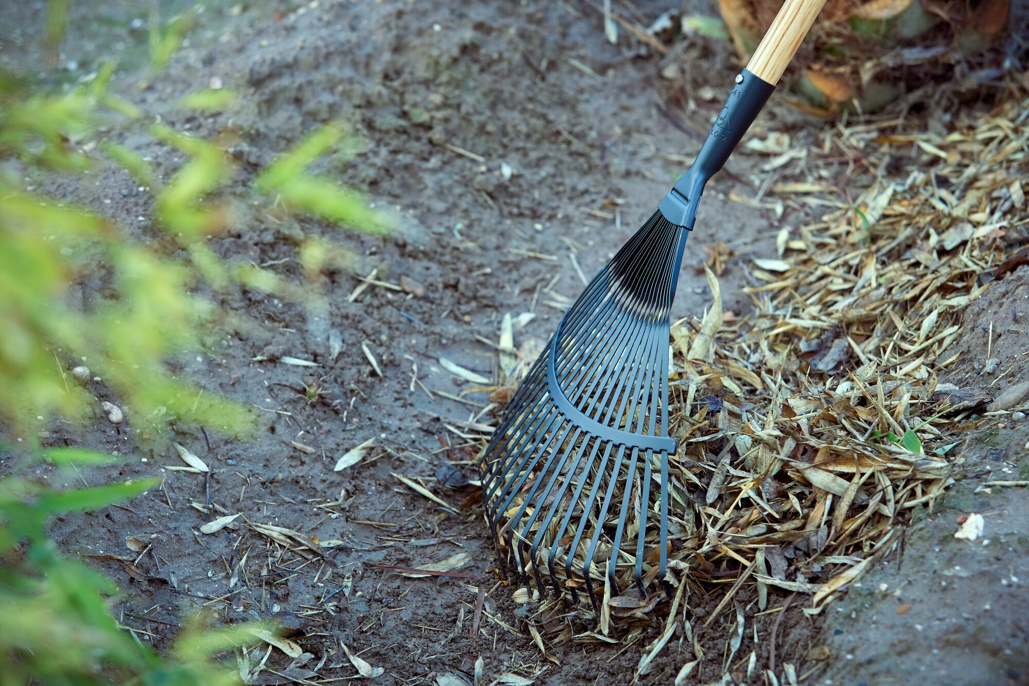 Escoba púas planas para limpieza de césped con mango madera FSC  / 3041CM