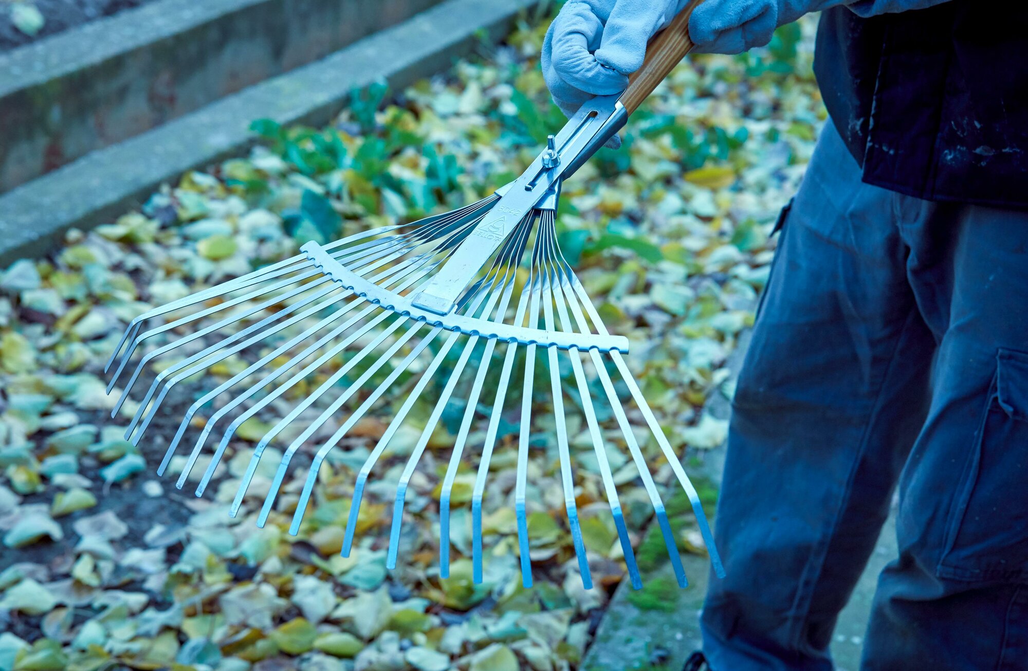 Escoba ajustable púa plana para limpieza de césped con mango madera FSC  / 3042CM