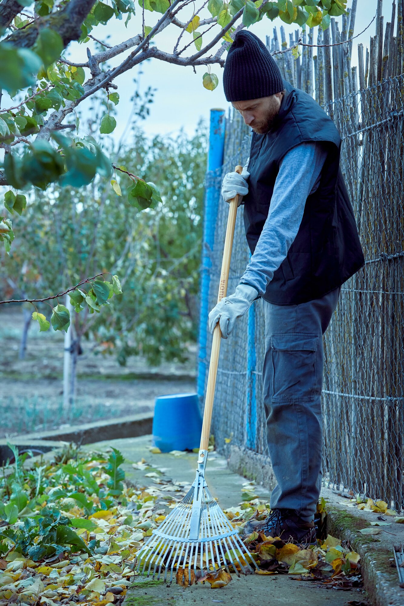 Escoba ajustable púa plana para limpieza de césped con mango madera FSC  / 3042CM